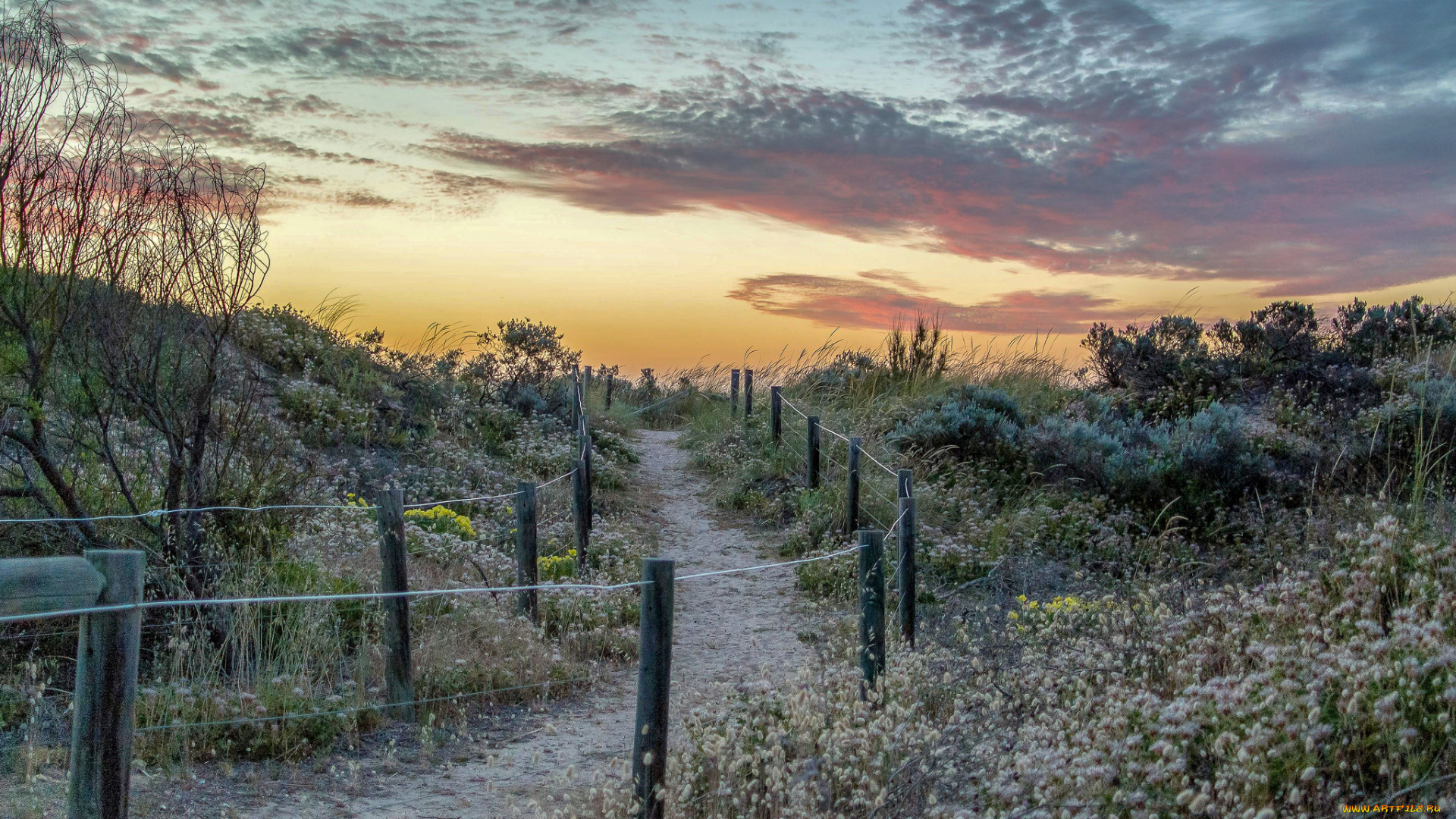 природа, дороги, простор