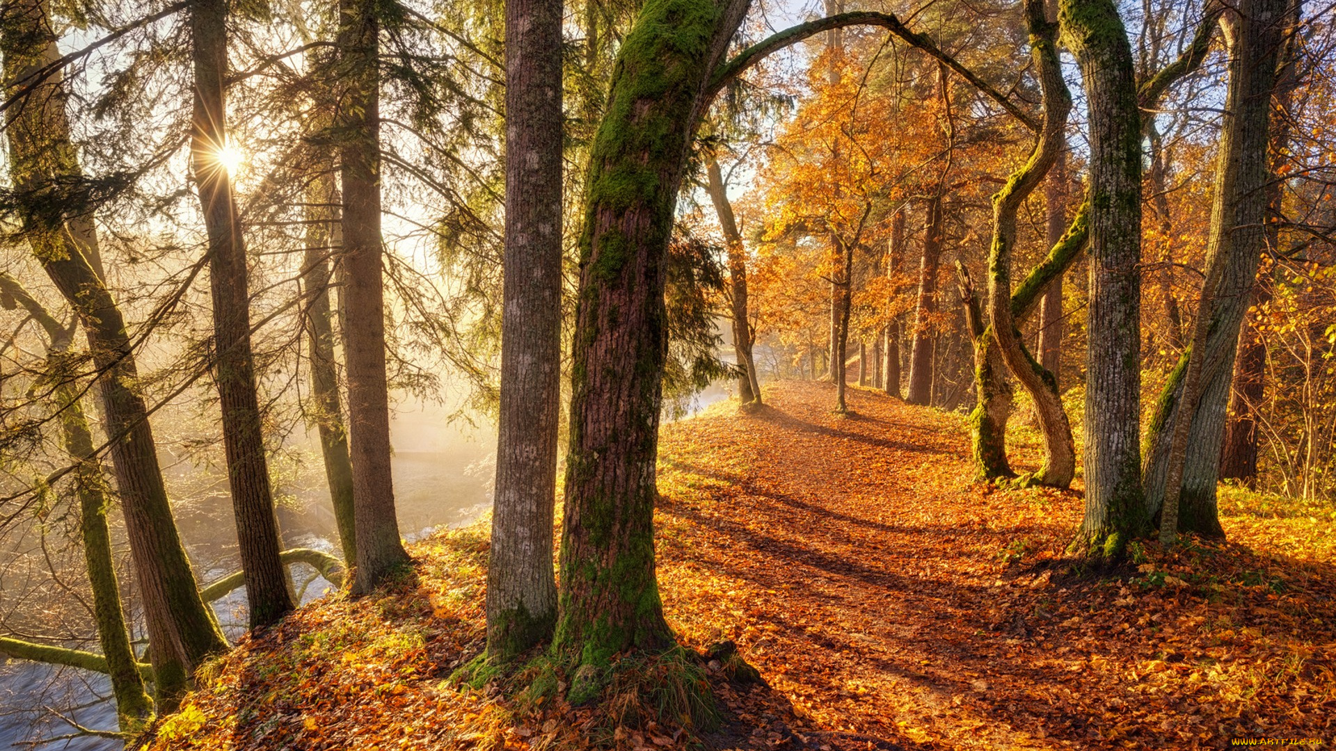 природа, дороги, простор