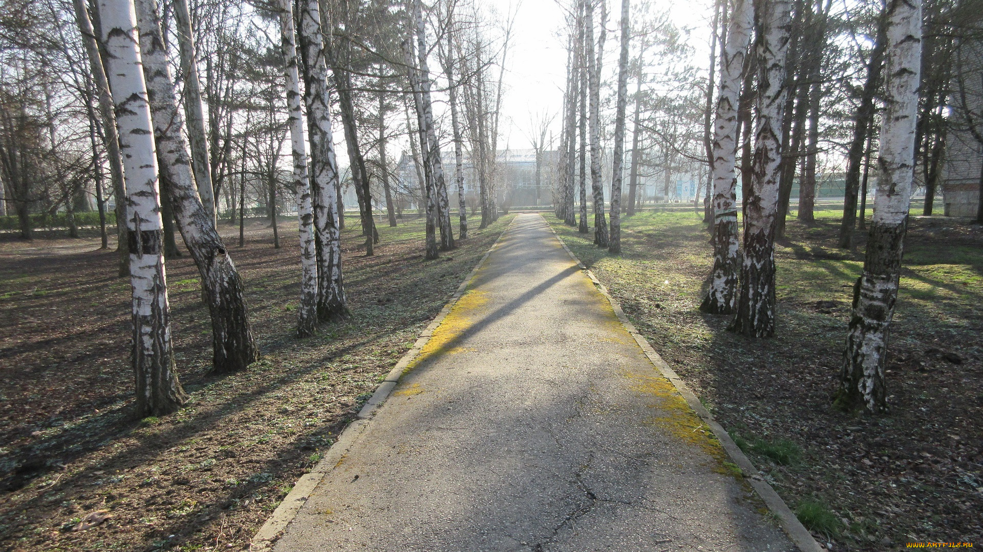 природа, парк