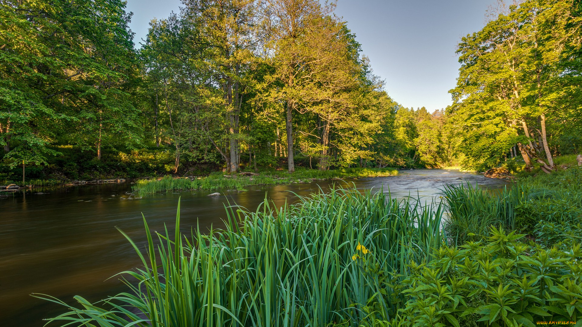 природа, реки, озера, простор