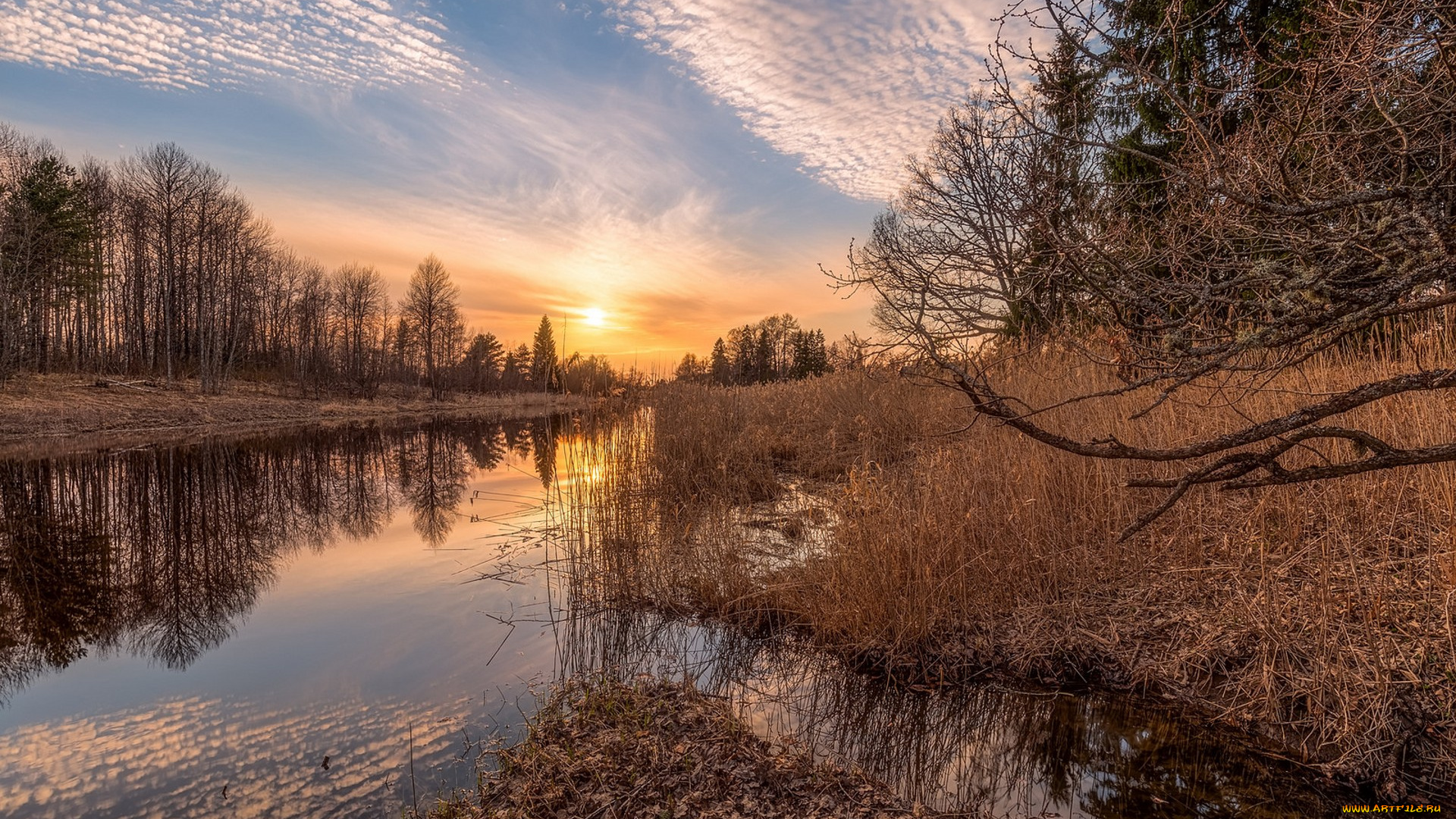 природа, реки, озера, простор