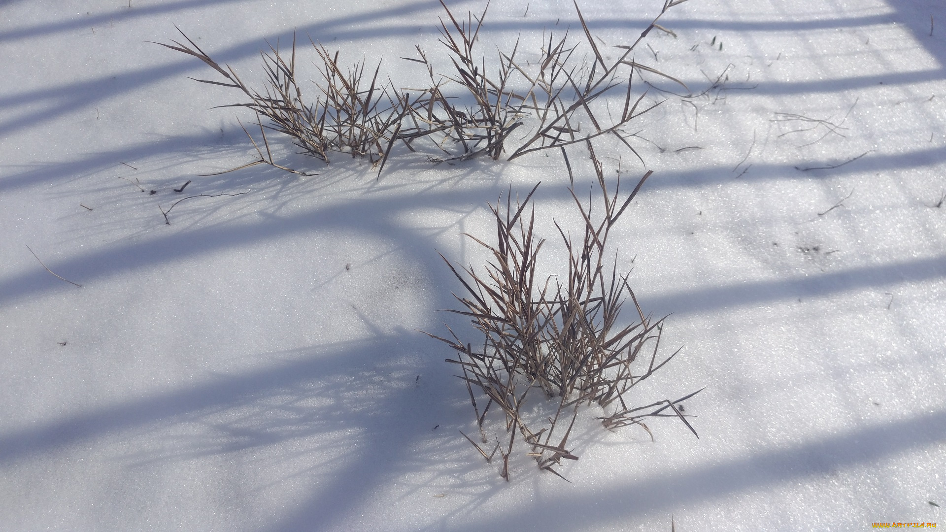 природа, зима, снег