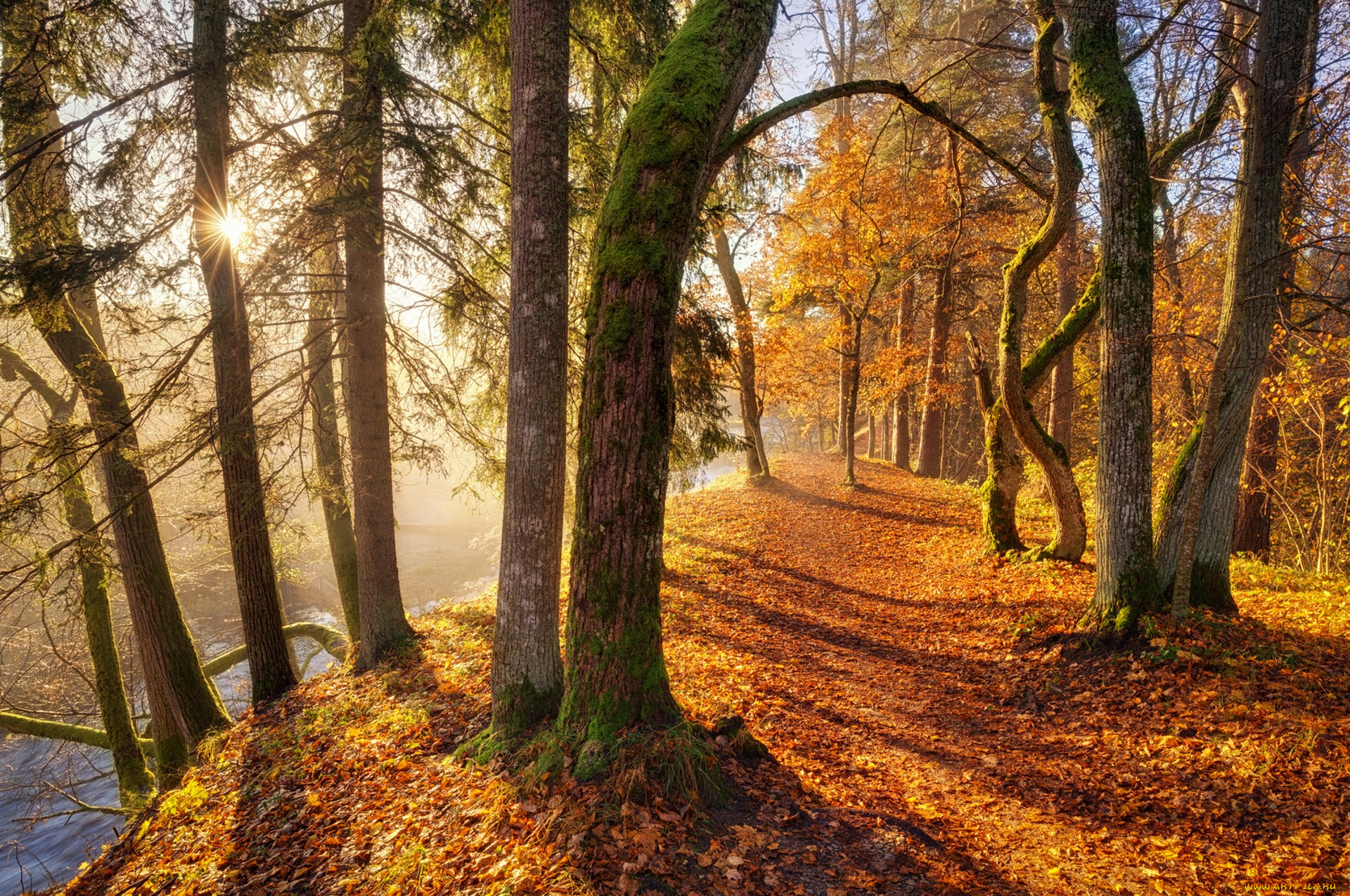 природа, дороги, простор