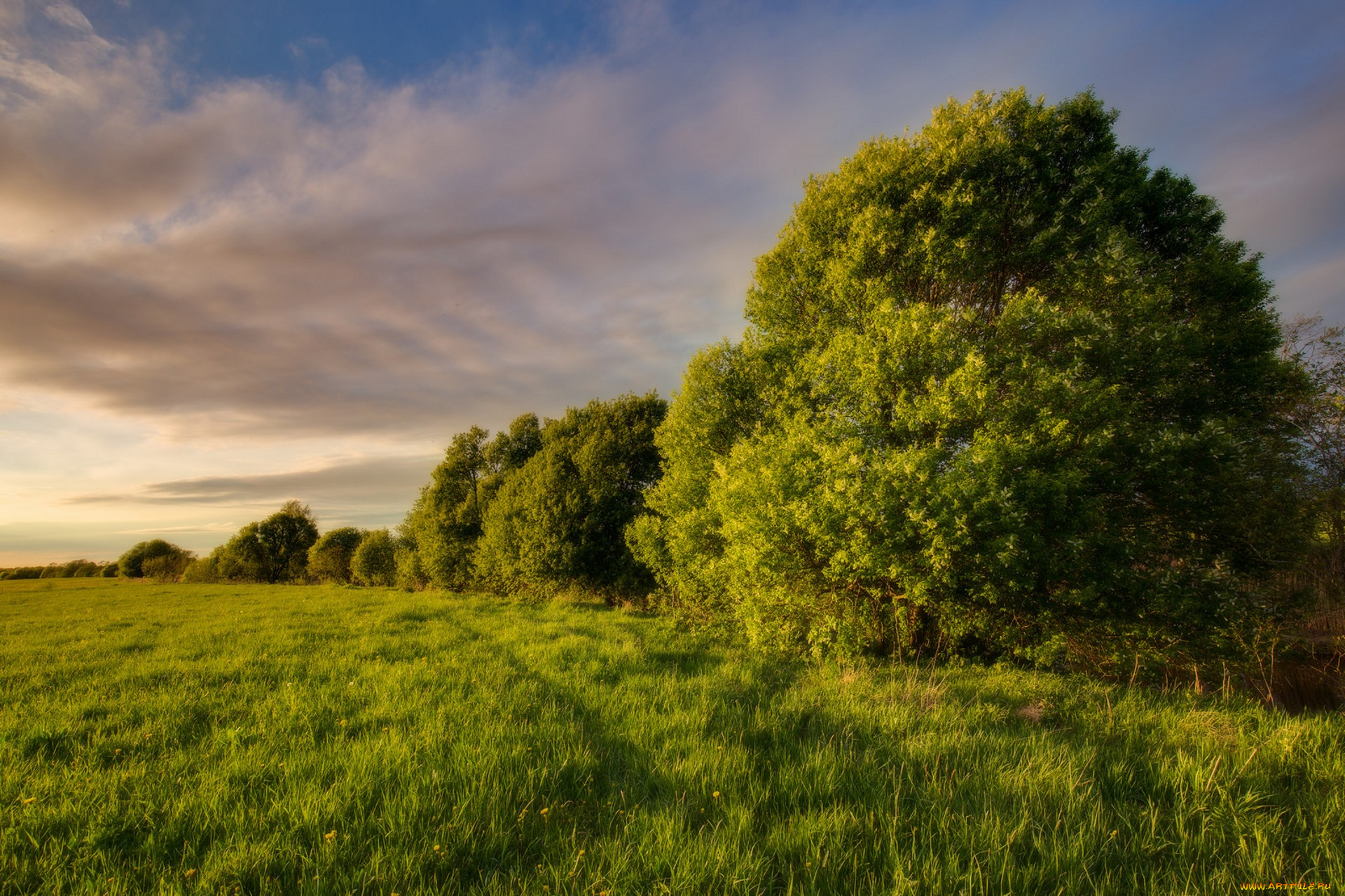 природа, поля, простор
