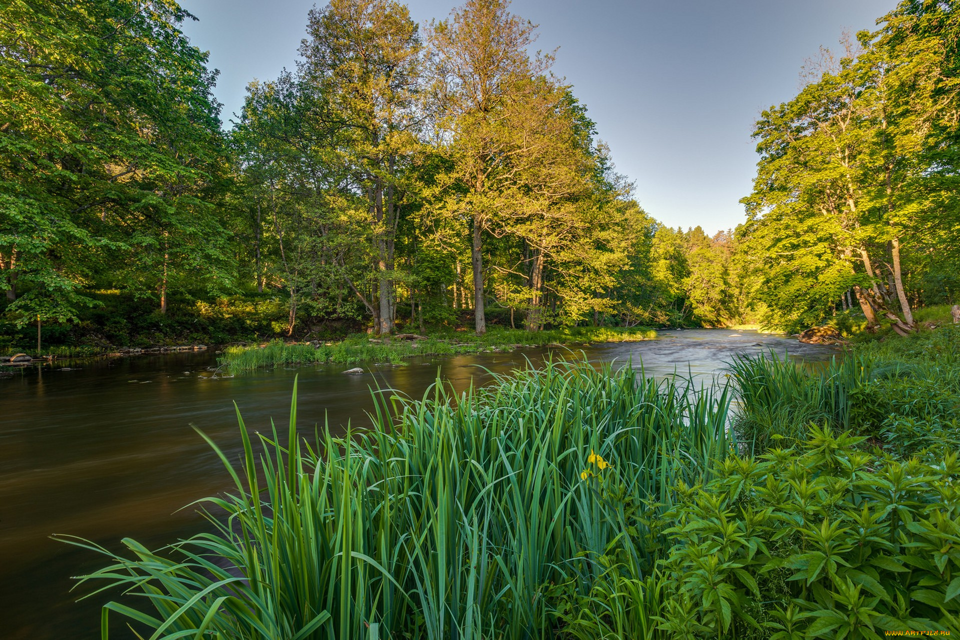природа, реки, озера, простор