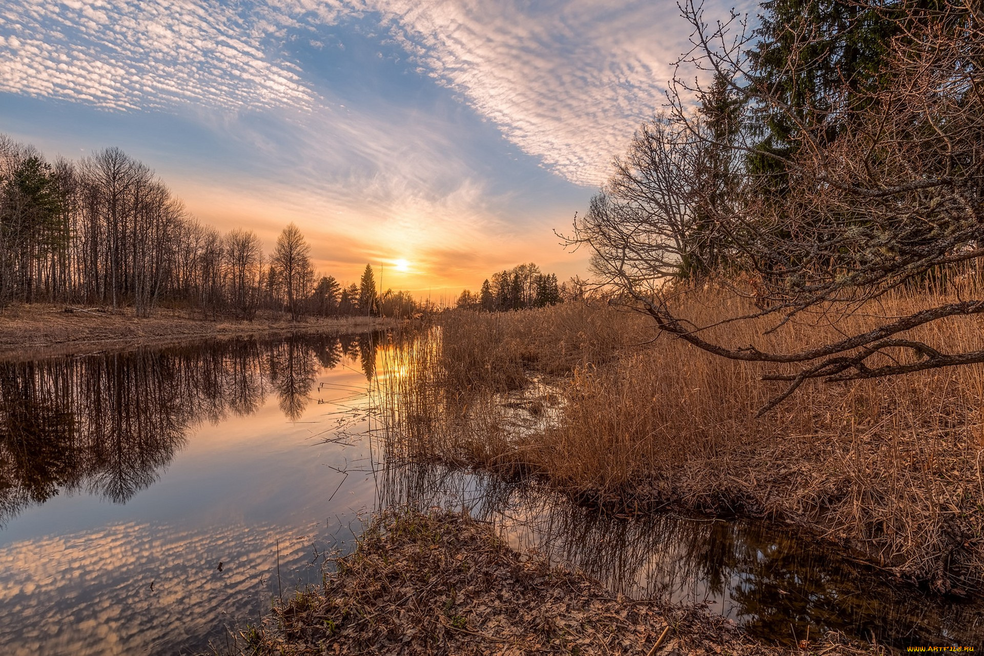 природа, реки, озера, простор