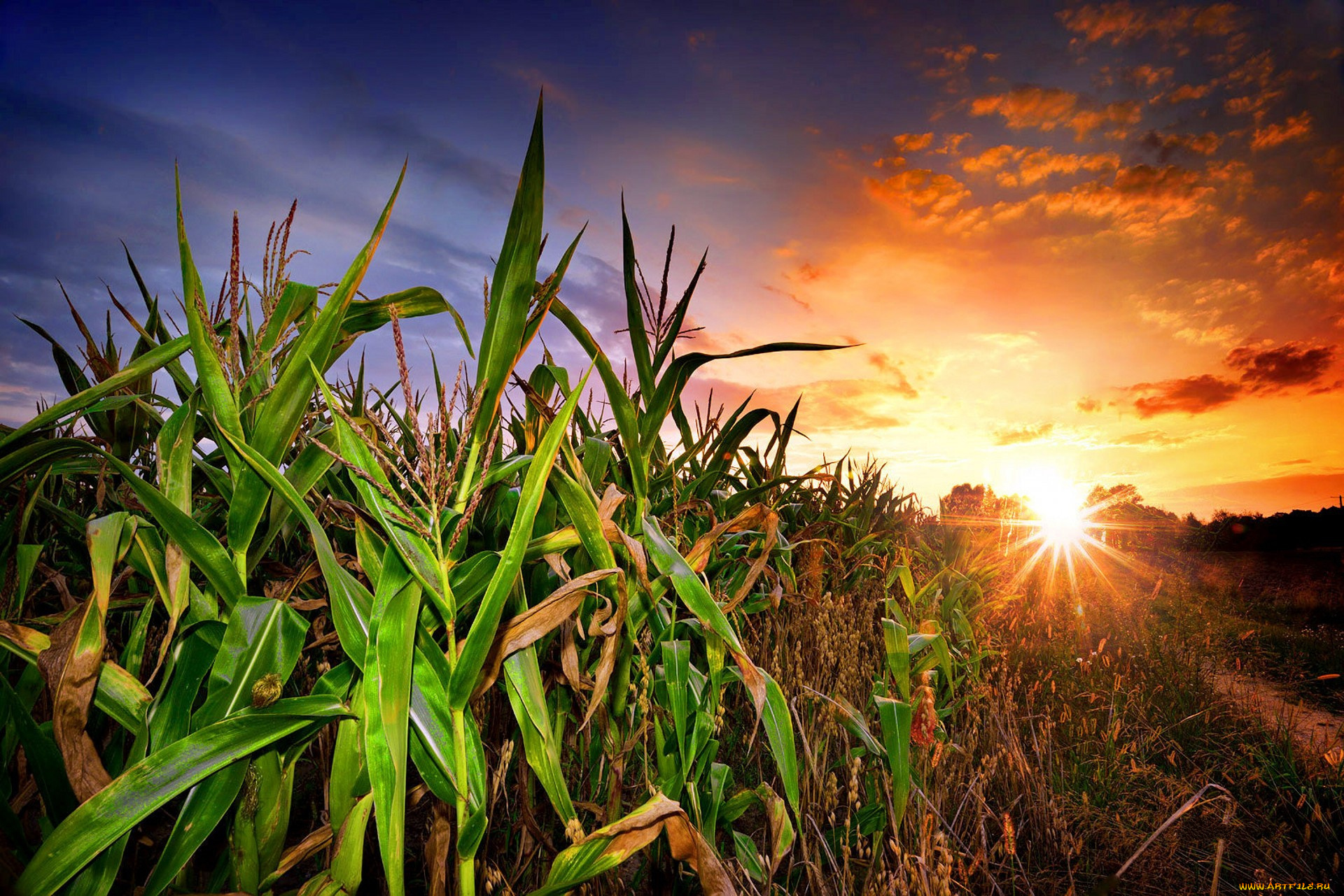 природа, восходы, закаты, простор