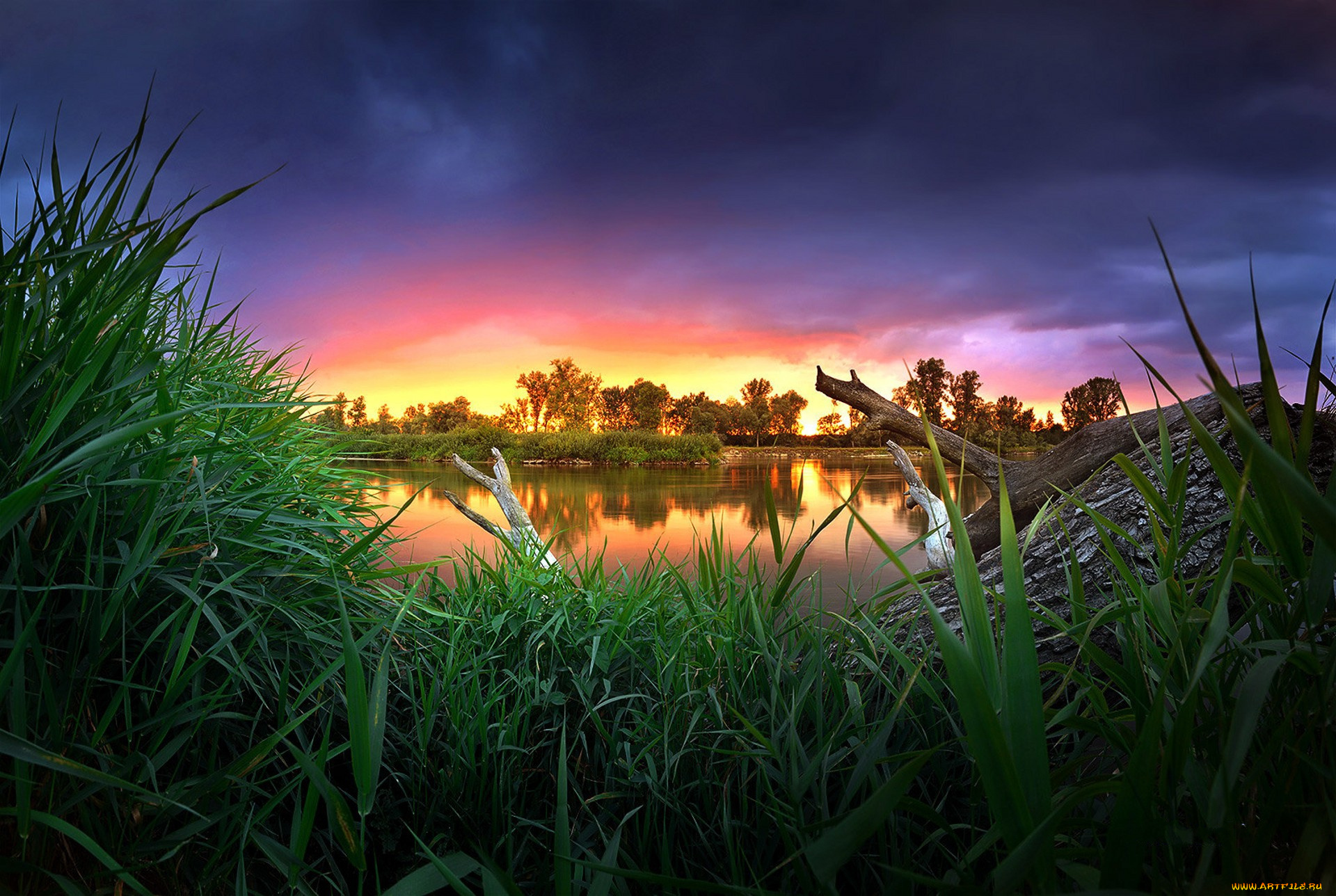 природа, луга, простор