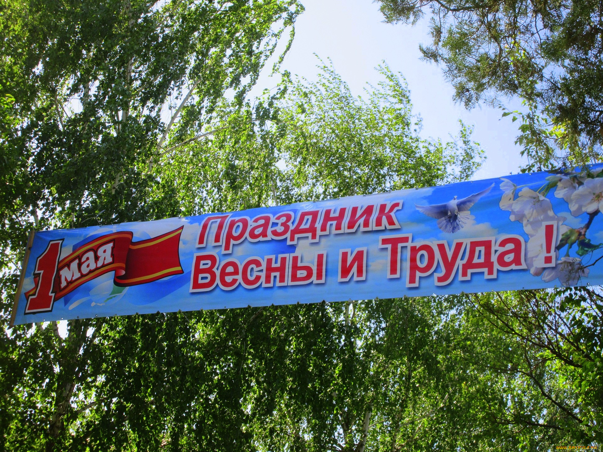 праздничные, другое, весна, 2018