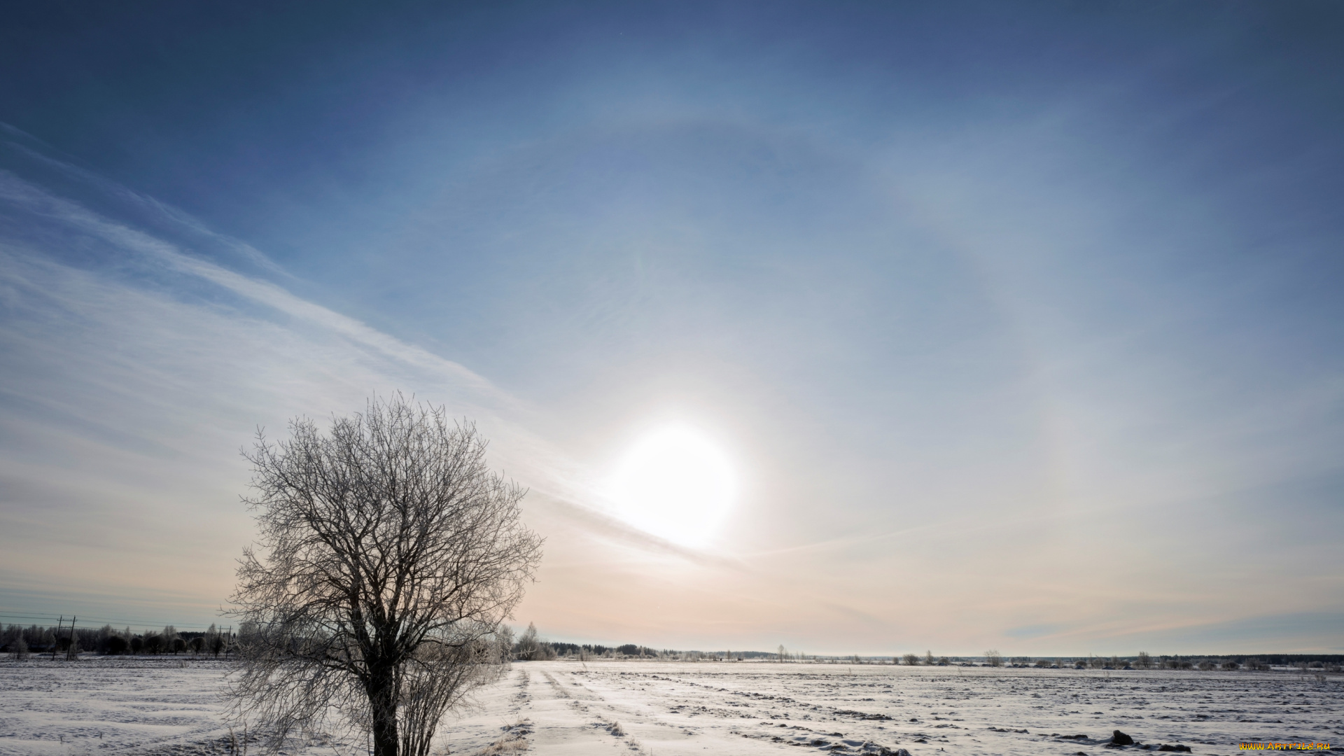 природа, зима, небо, закат, поле, дерево, снег