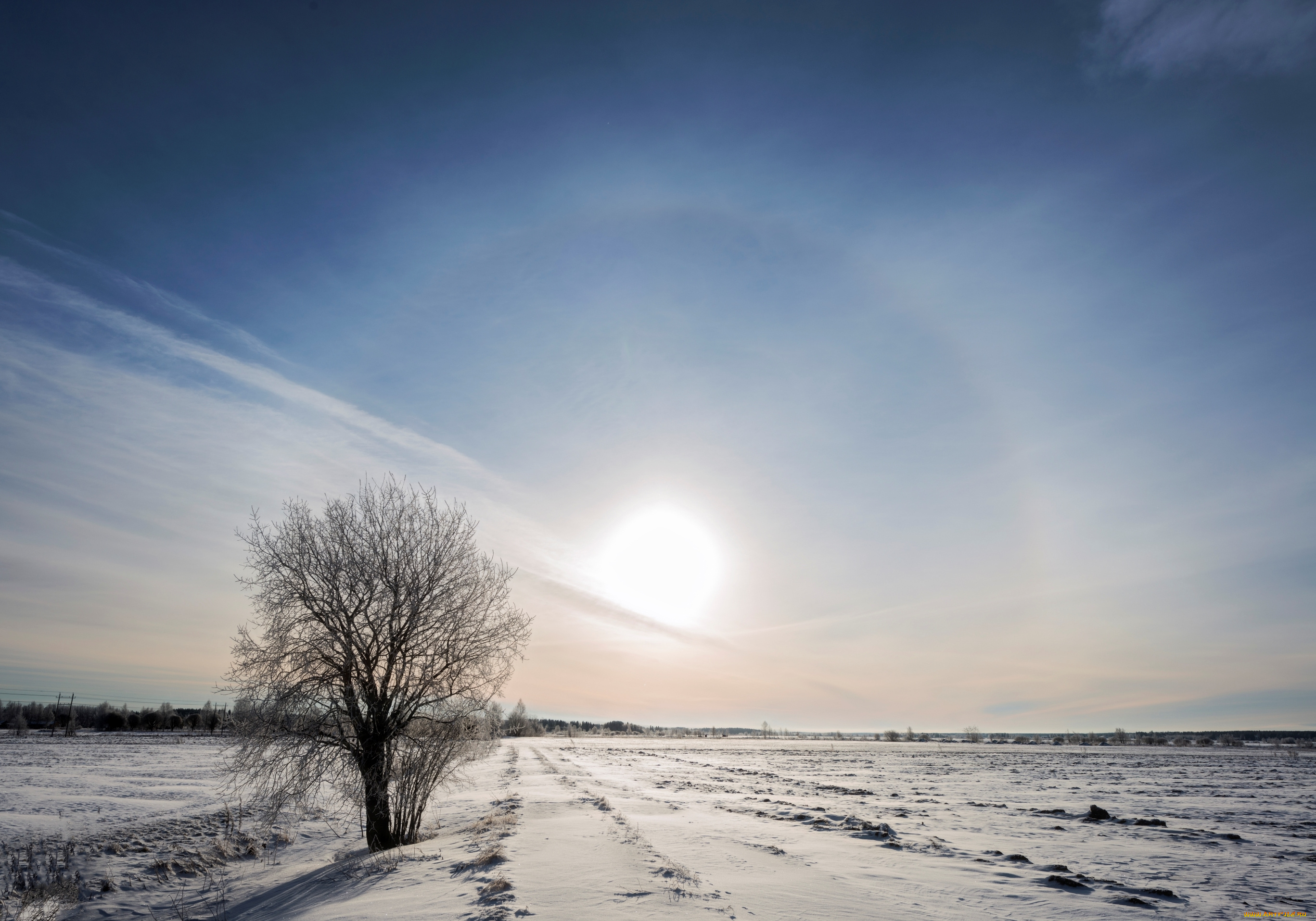 природа, зима, небо, закат, поле, дерево, снег