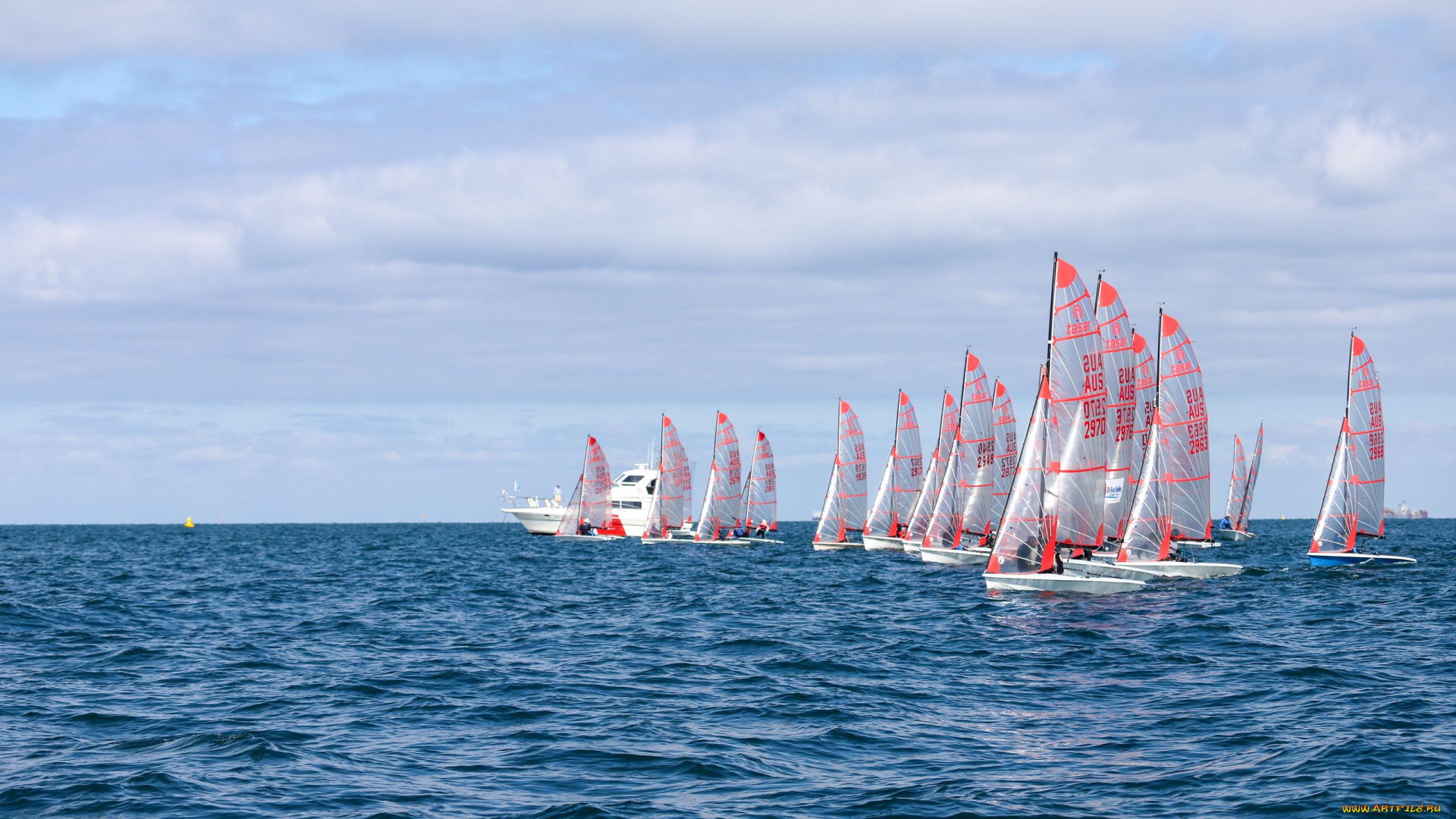 корабли, парусники, море, парусная, регата