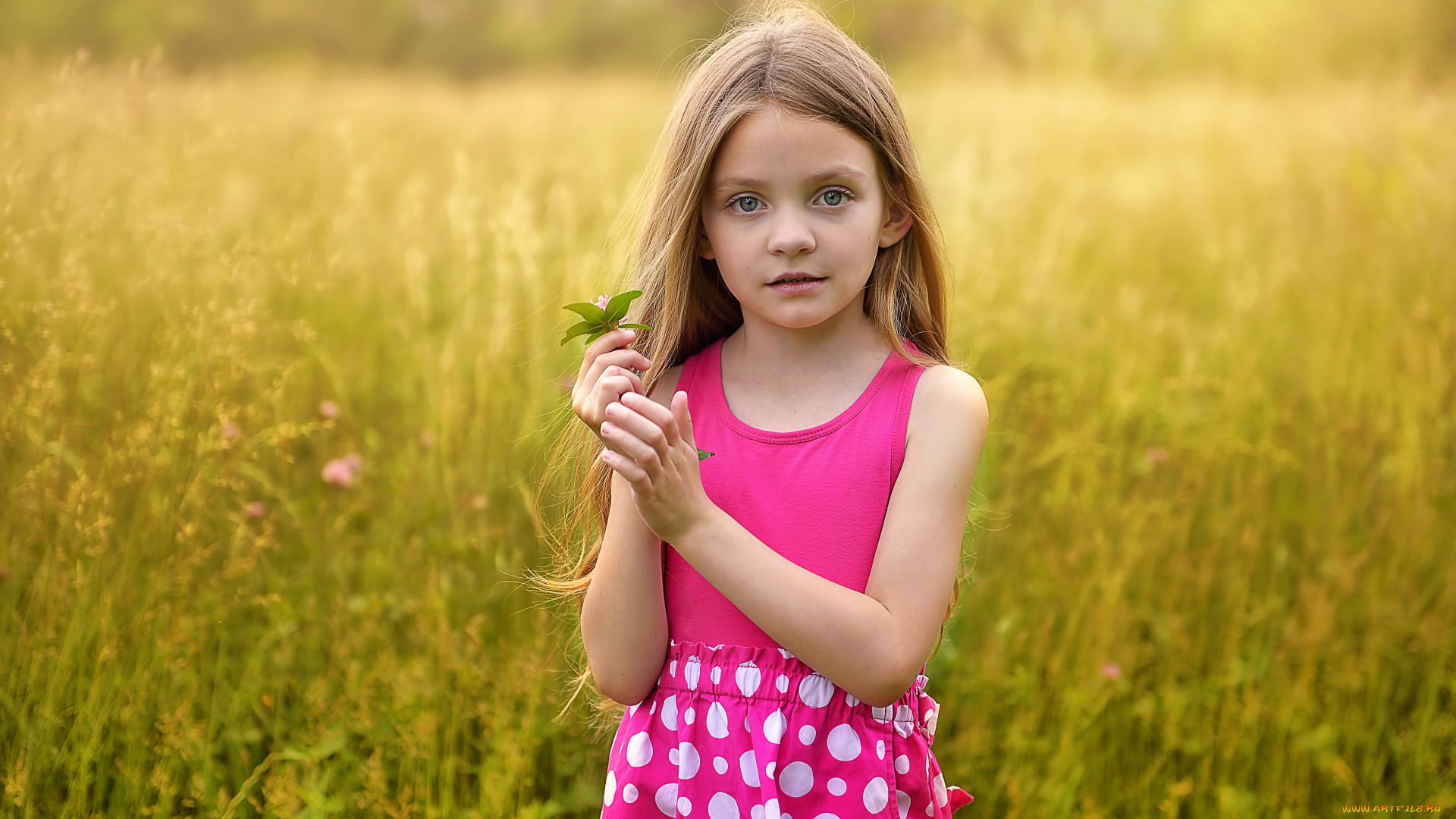 разное, дети, девочка, луг