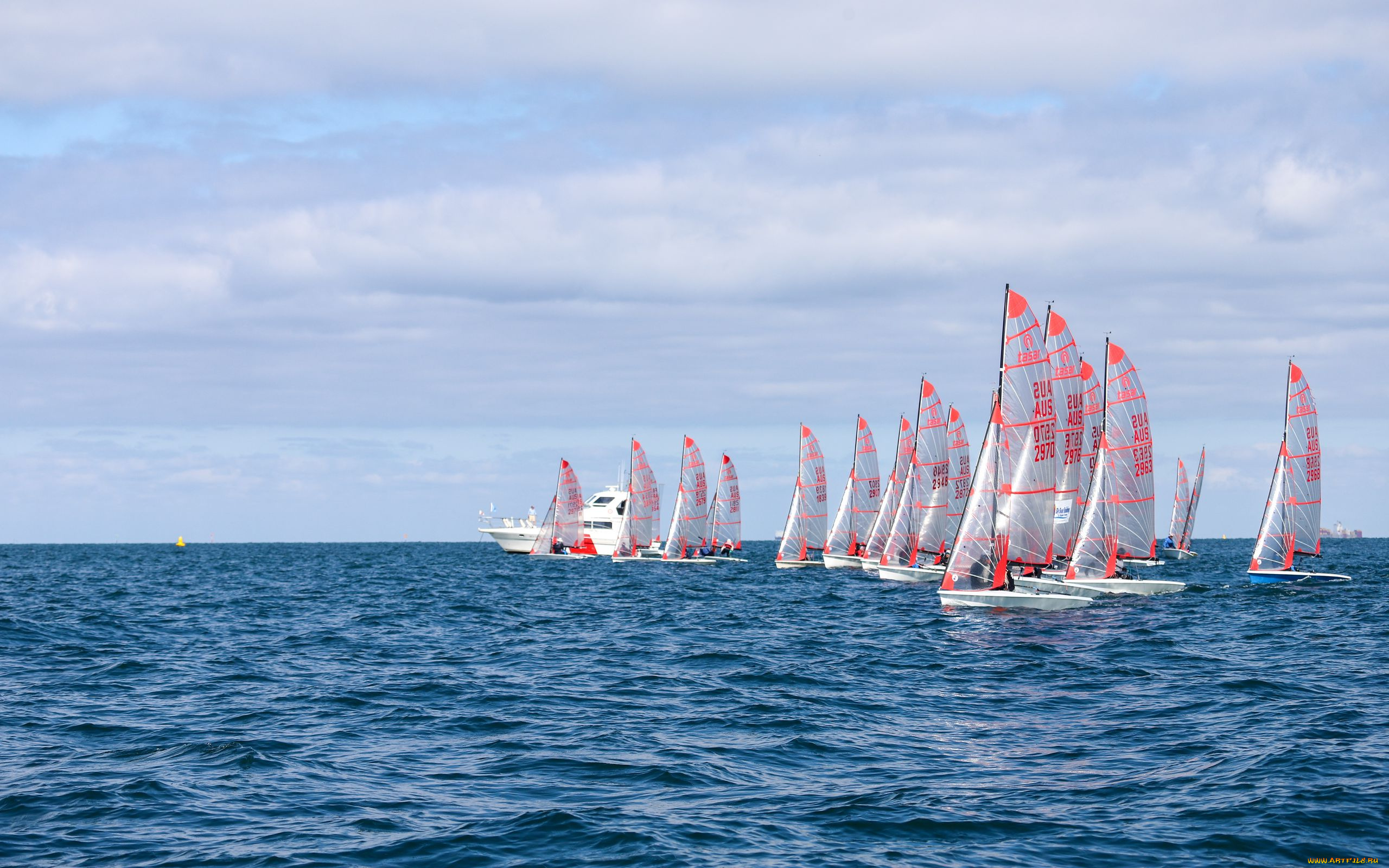 корабли, парусники, море, парусная, регата