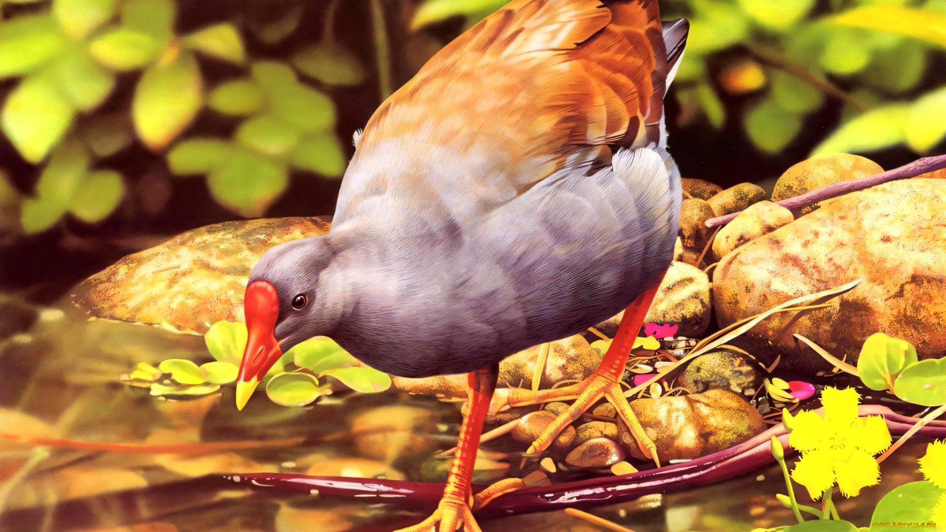 295467, рисованное, животные, , птицы, птичка