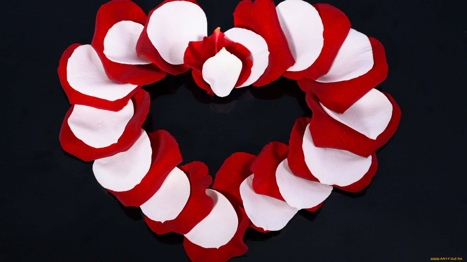 праздничные, день, святого, валентина, , сердечки, , любовь, лепестки, сердечко