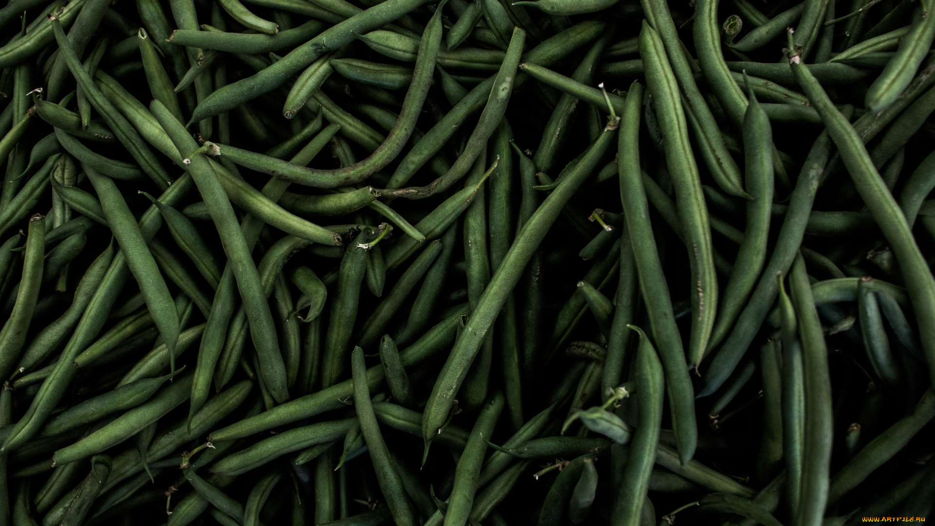 еда, бобовые, спаржевая, фасоль