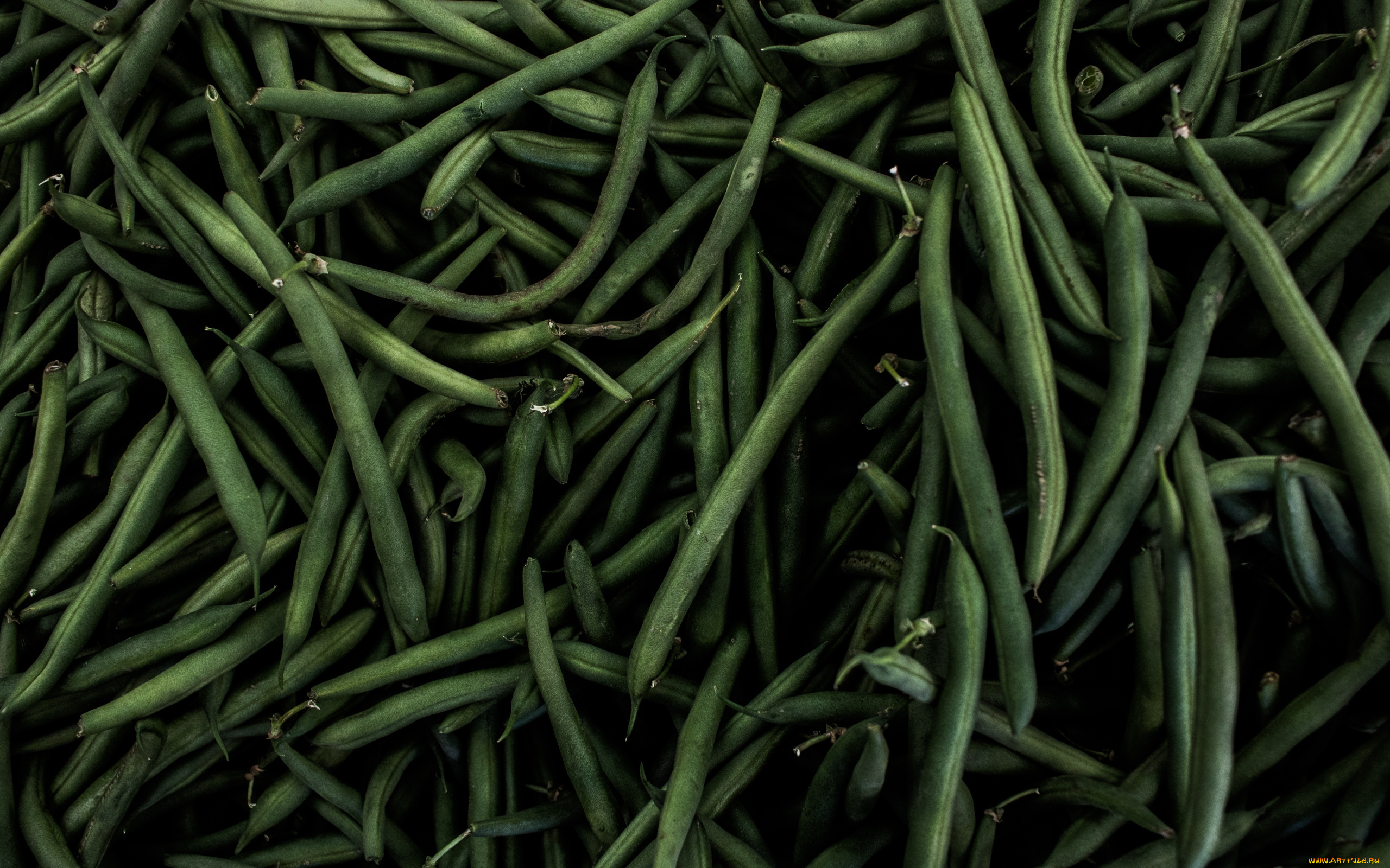 еда, бобовые, спаржевая, фасоль