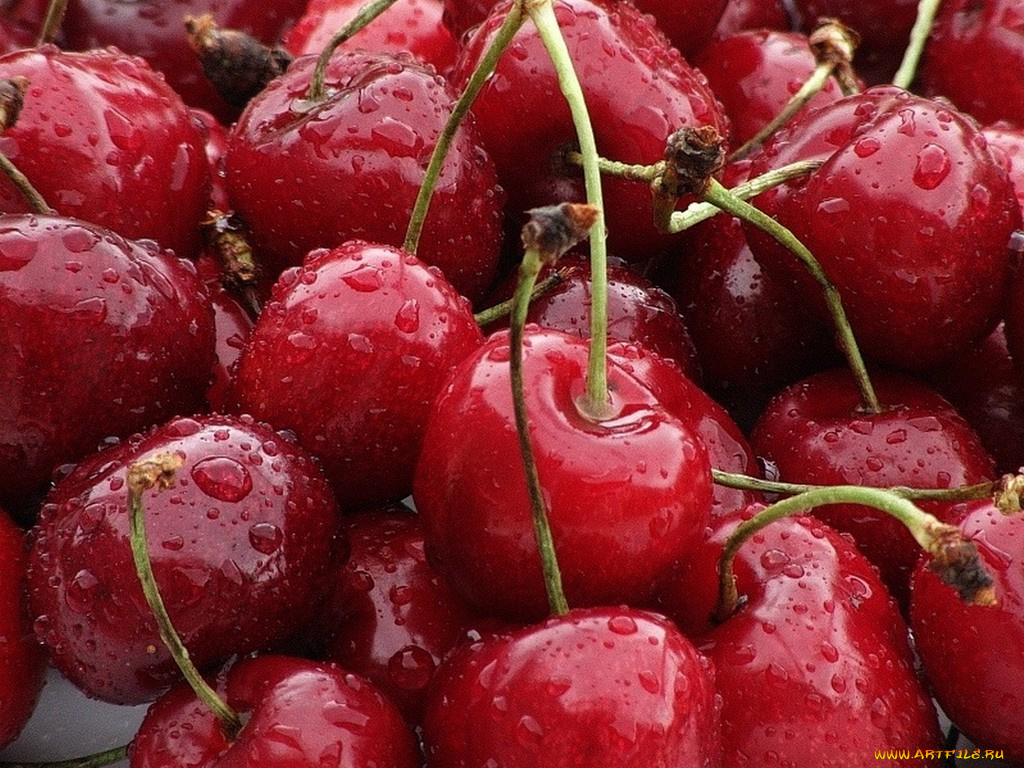 Ёжичик, ***, еда, вишня, черешня