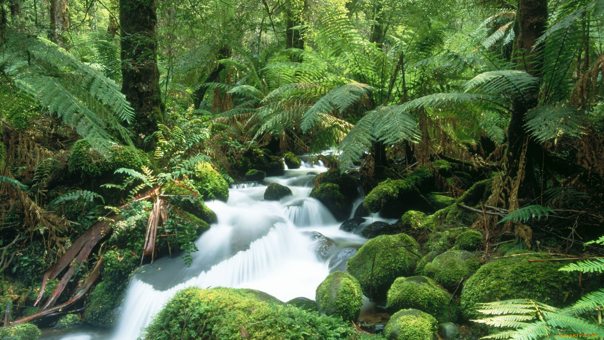 природа, реки, озера