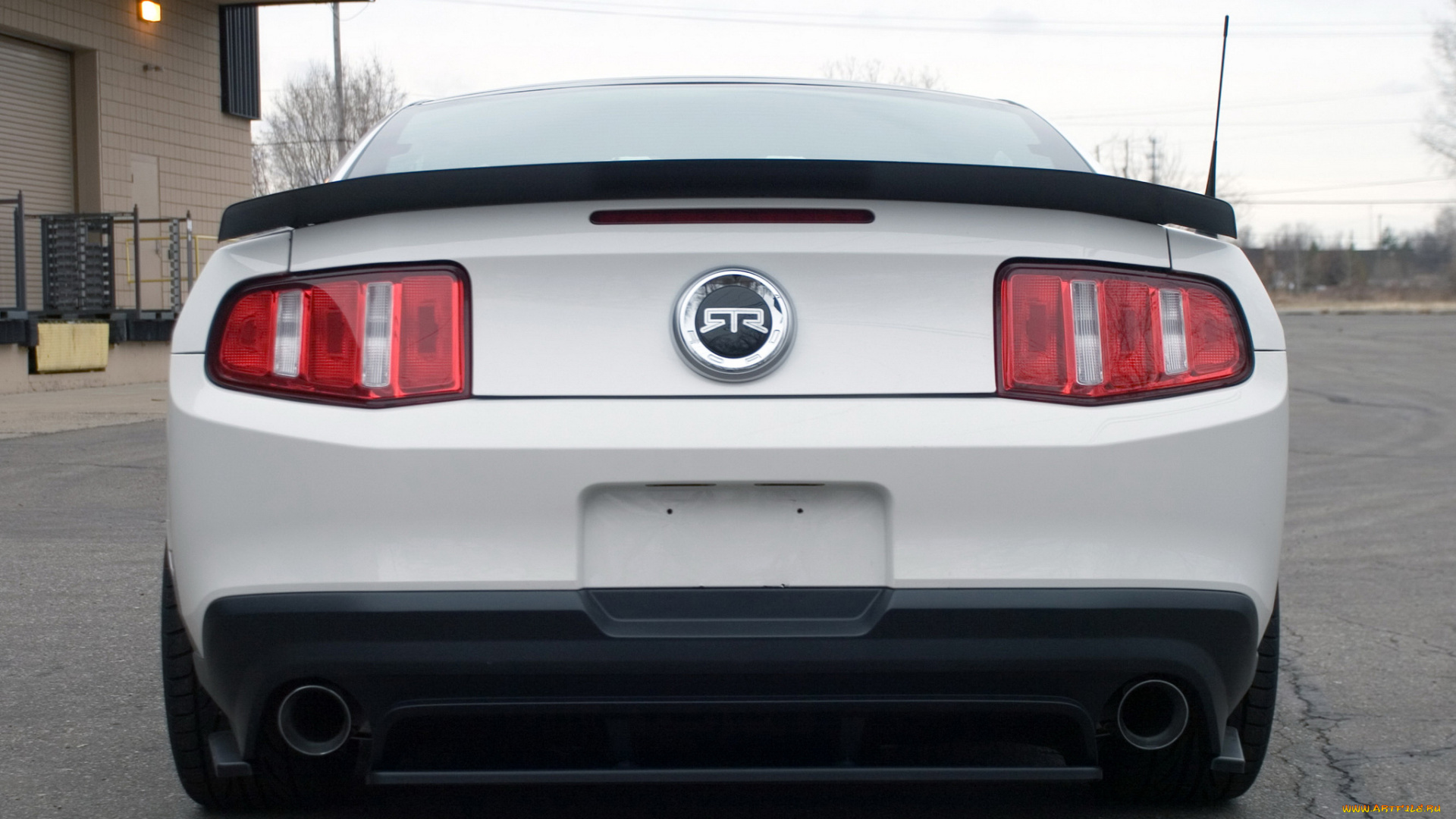 автомобили, mustang