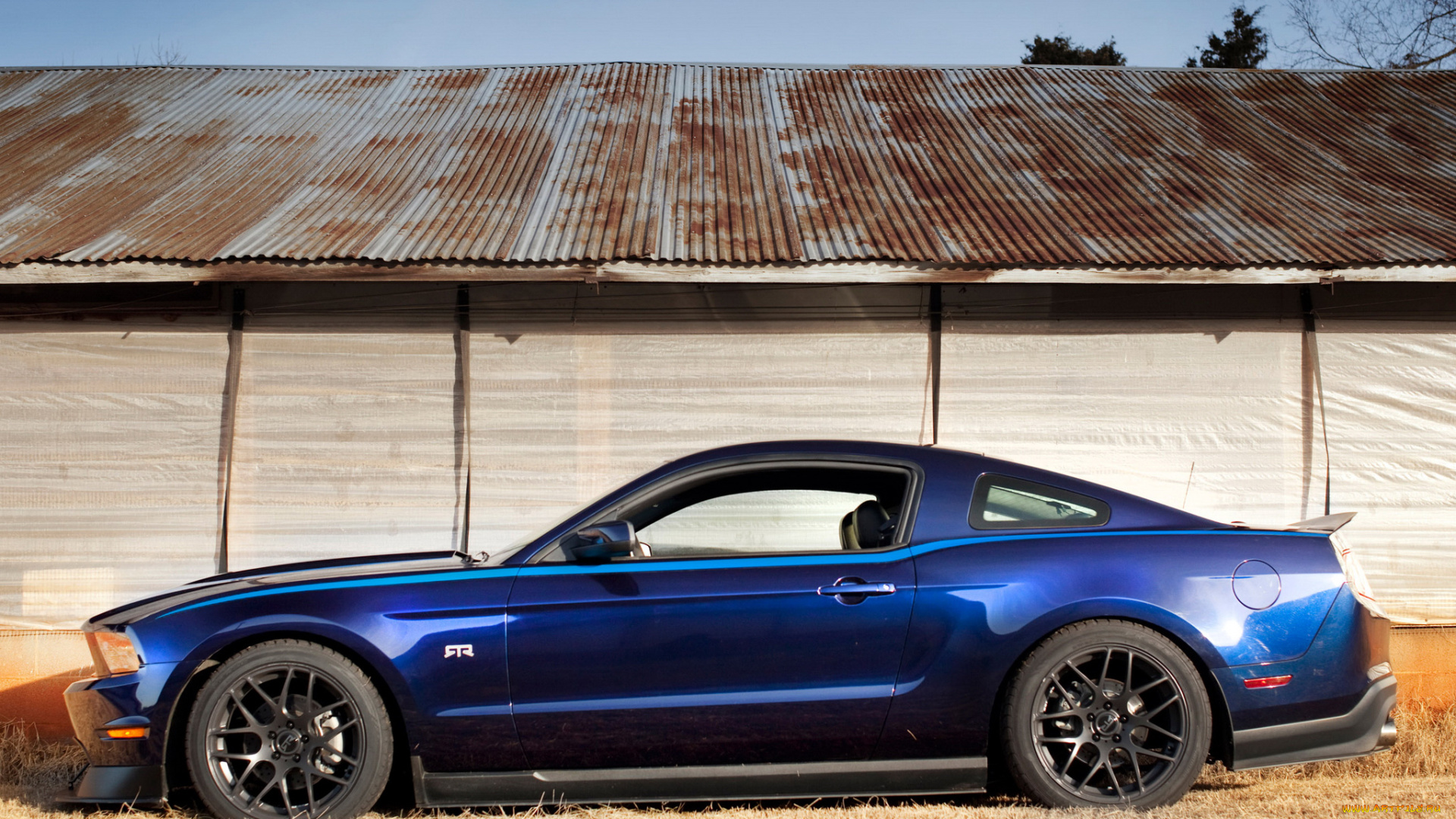 автомобили, mustang