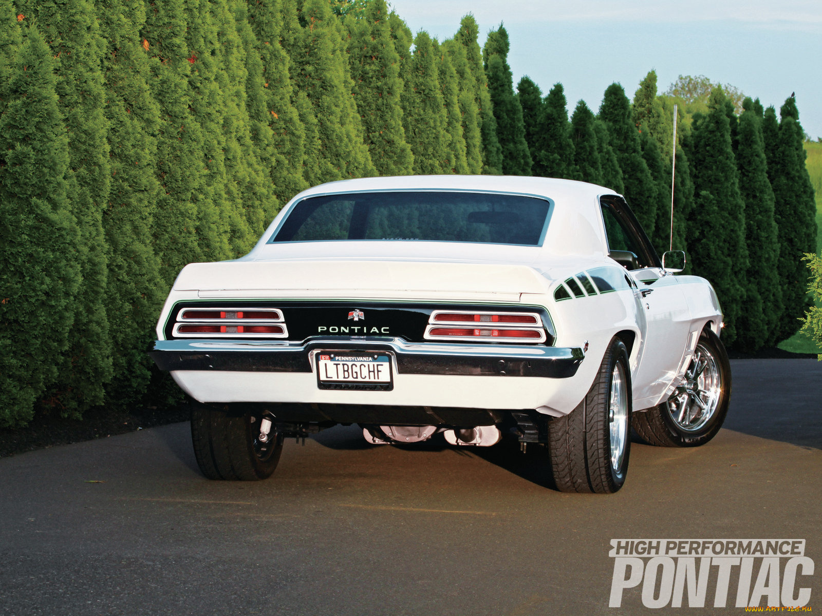 автомобили, pontiac, firebird