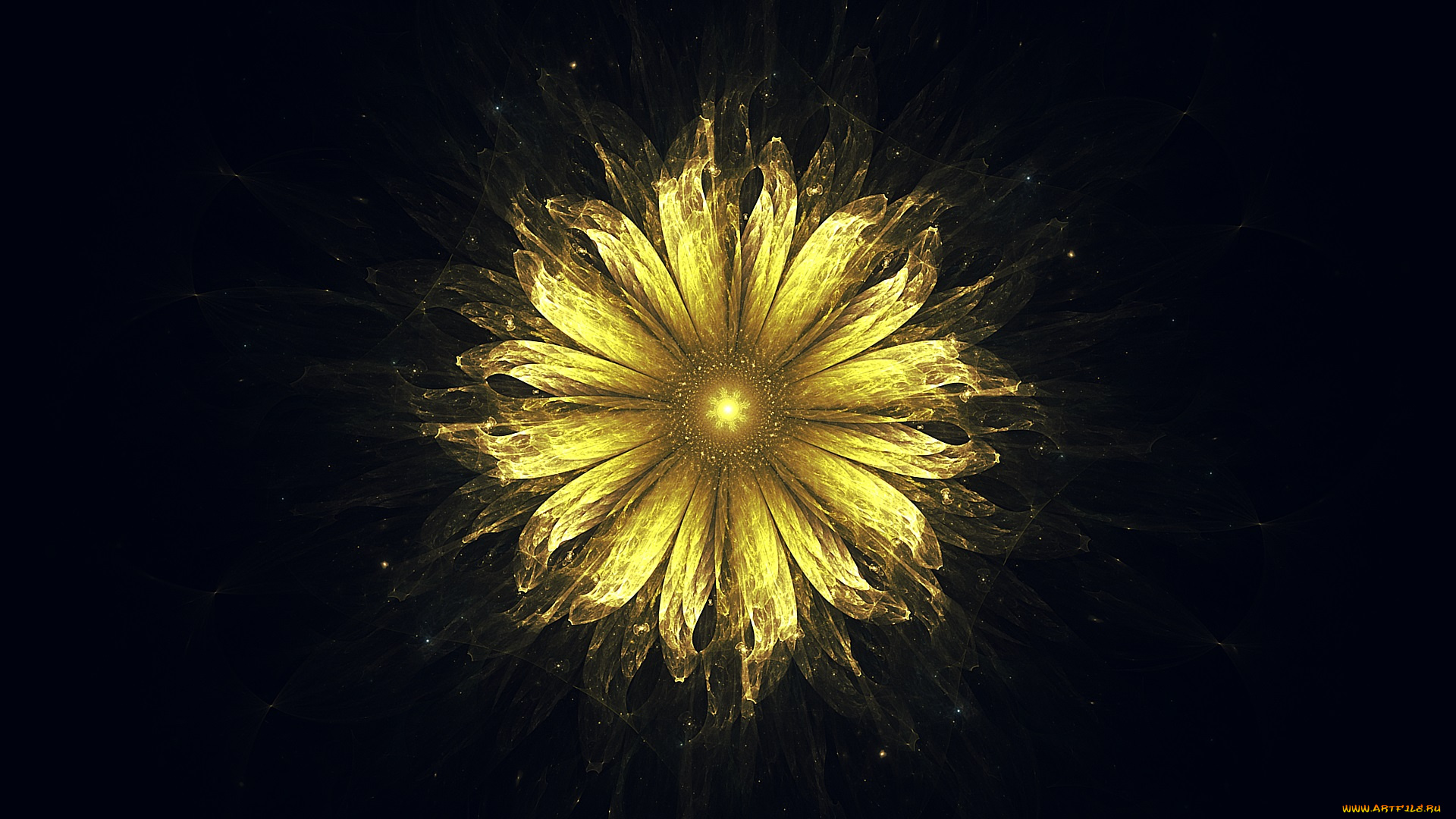 3д, графика, цветы, , flowers, узор, фон, цвета