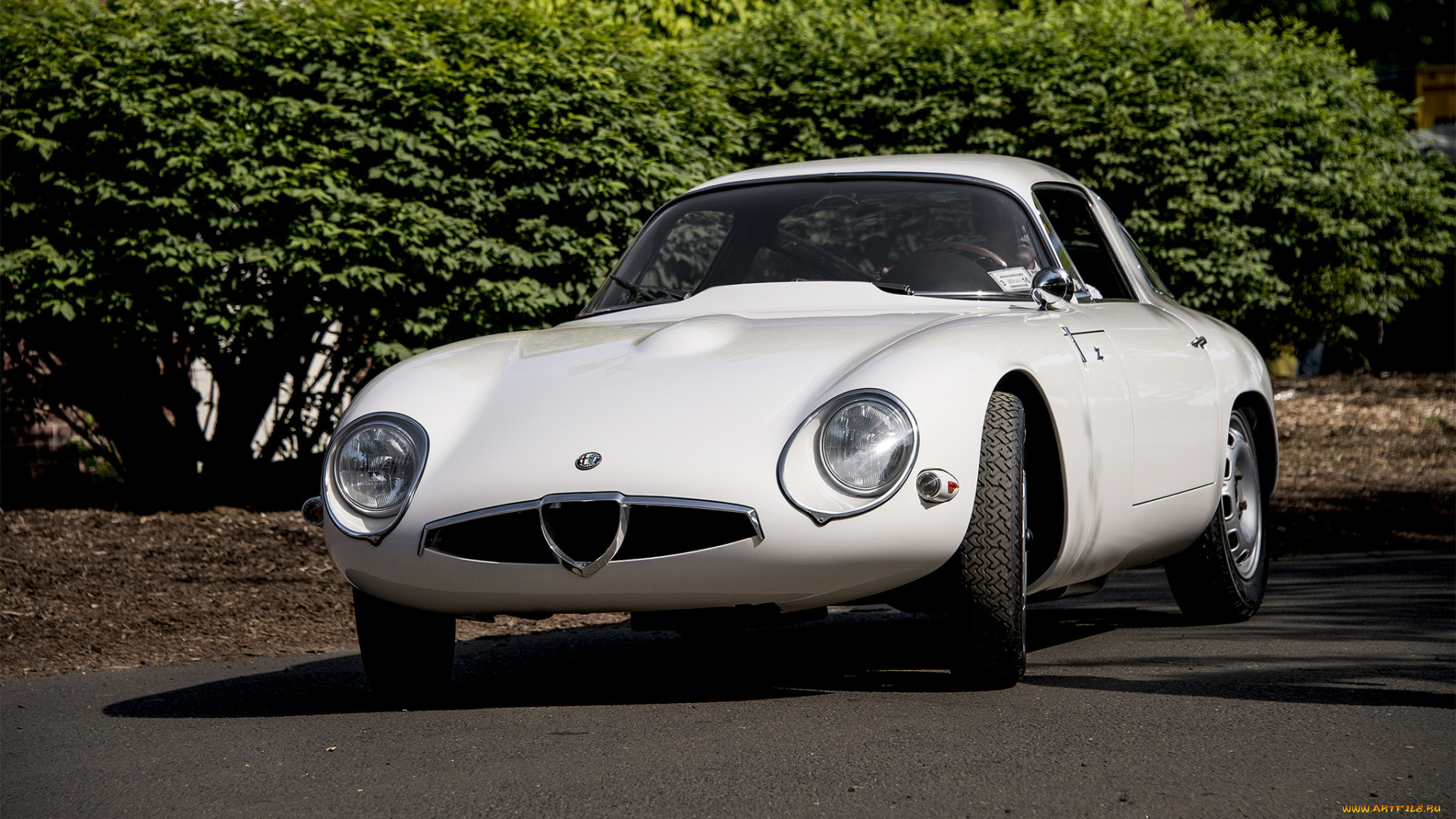 alfa, romeo, tz, coupe, автомобили, alfa, romeo, автопробег, выставка, автошоу