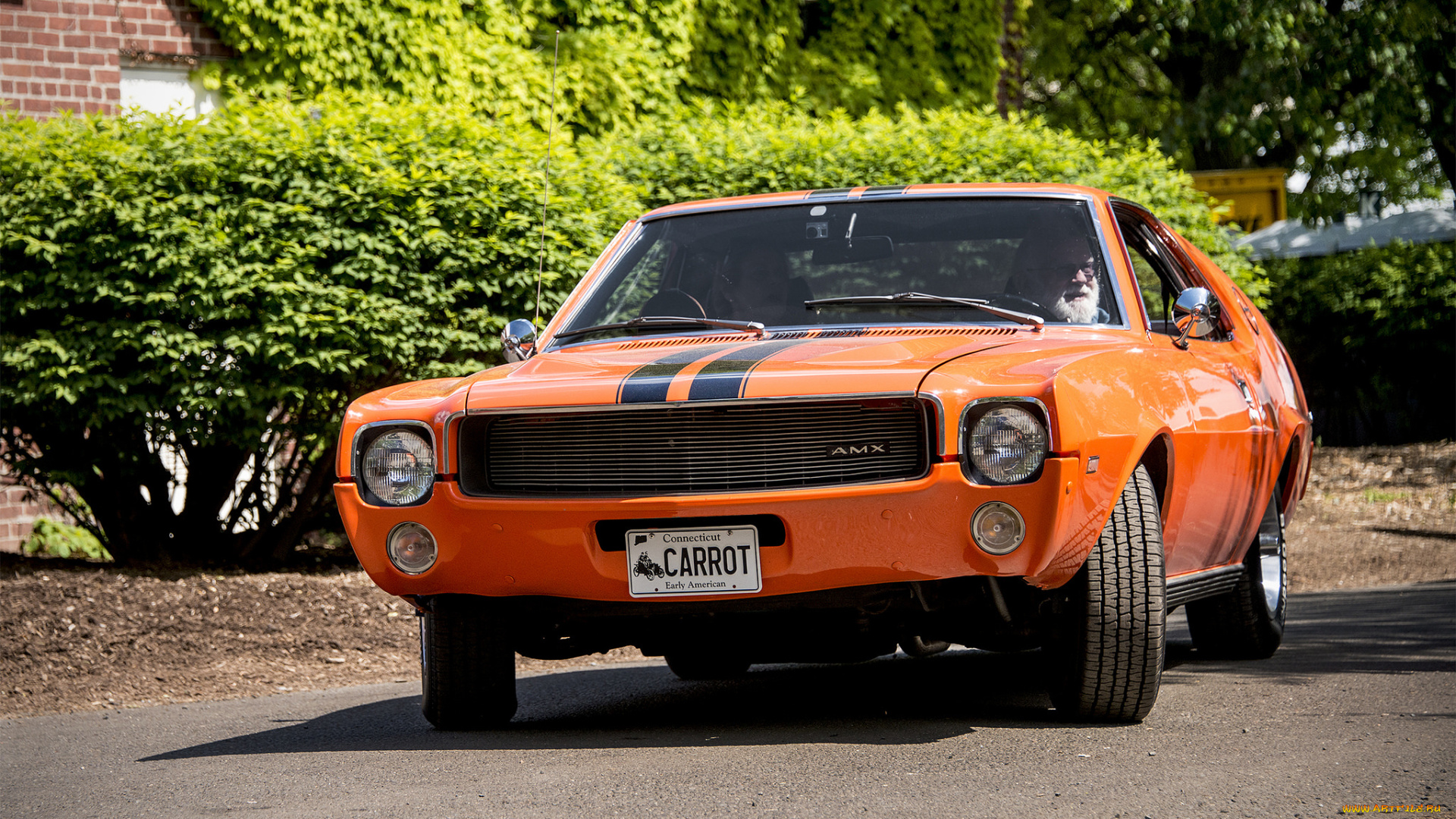 amc, amx, автомобили, amc, выставка, автошоу, автопробег