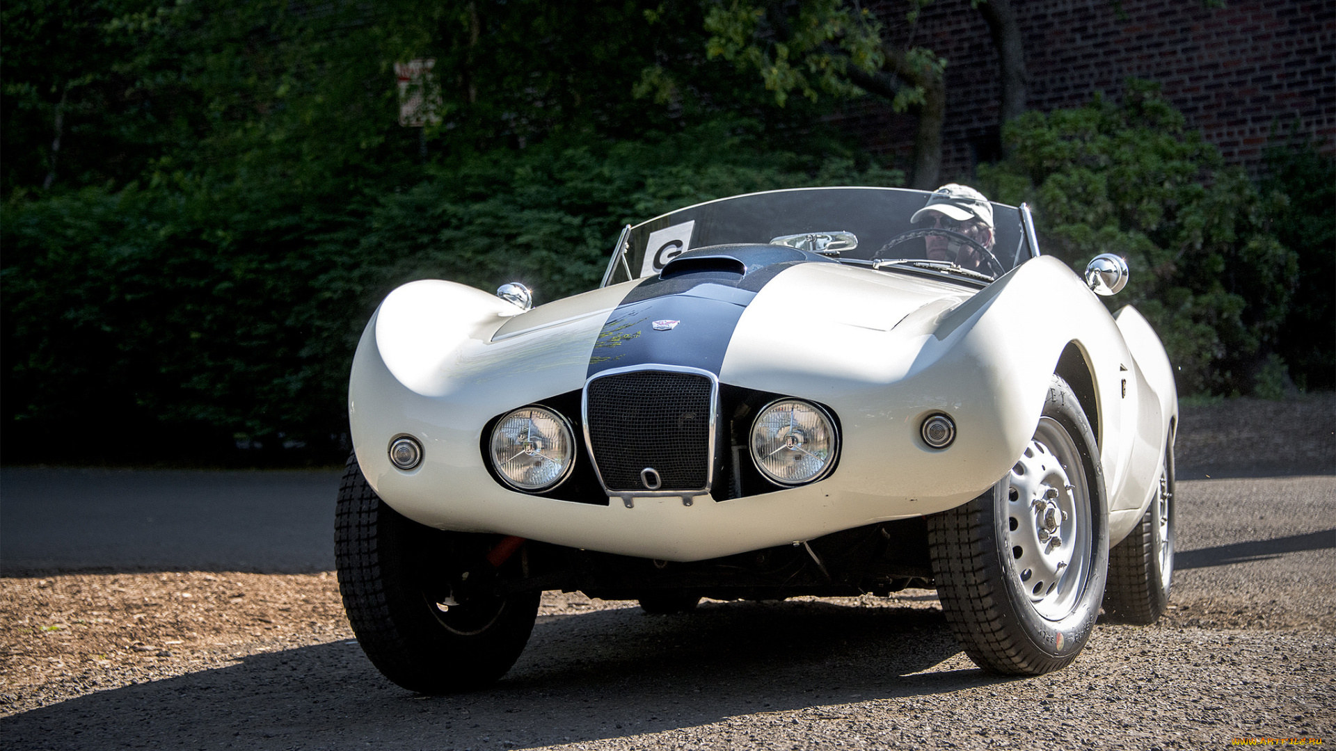 arnolt-bristol, bolide, автомобили, bristol, автопробег, выставка, автошоу