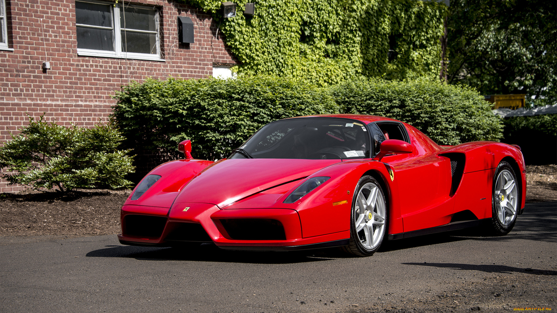 ferrari, enzo, автомобили, ferrari, автошоу, автопробег, выставка