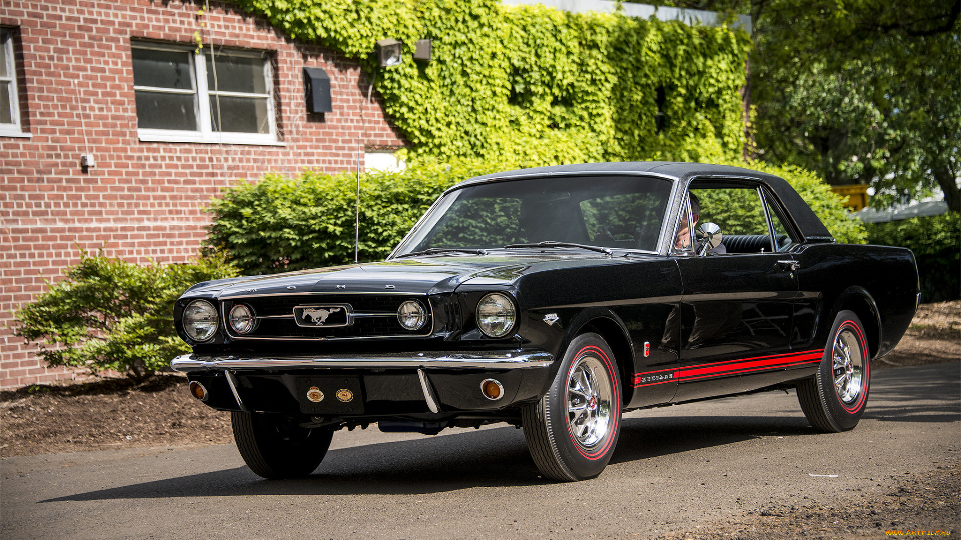 ford, mustang, автомобили, mustang, выставка, автошоу, автопробег