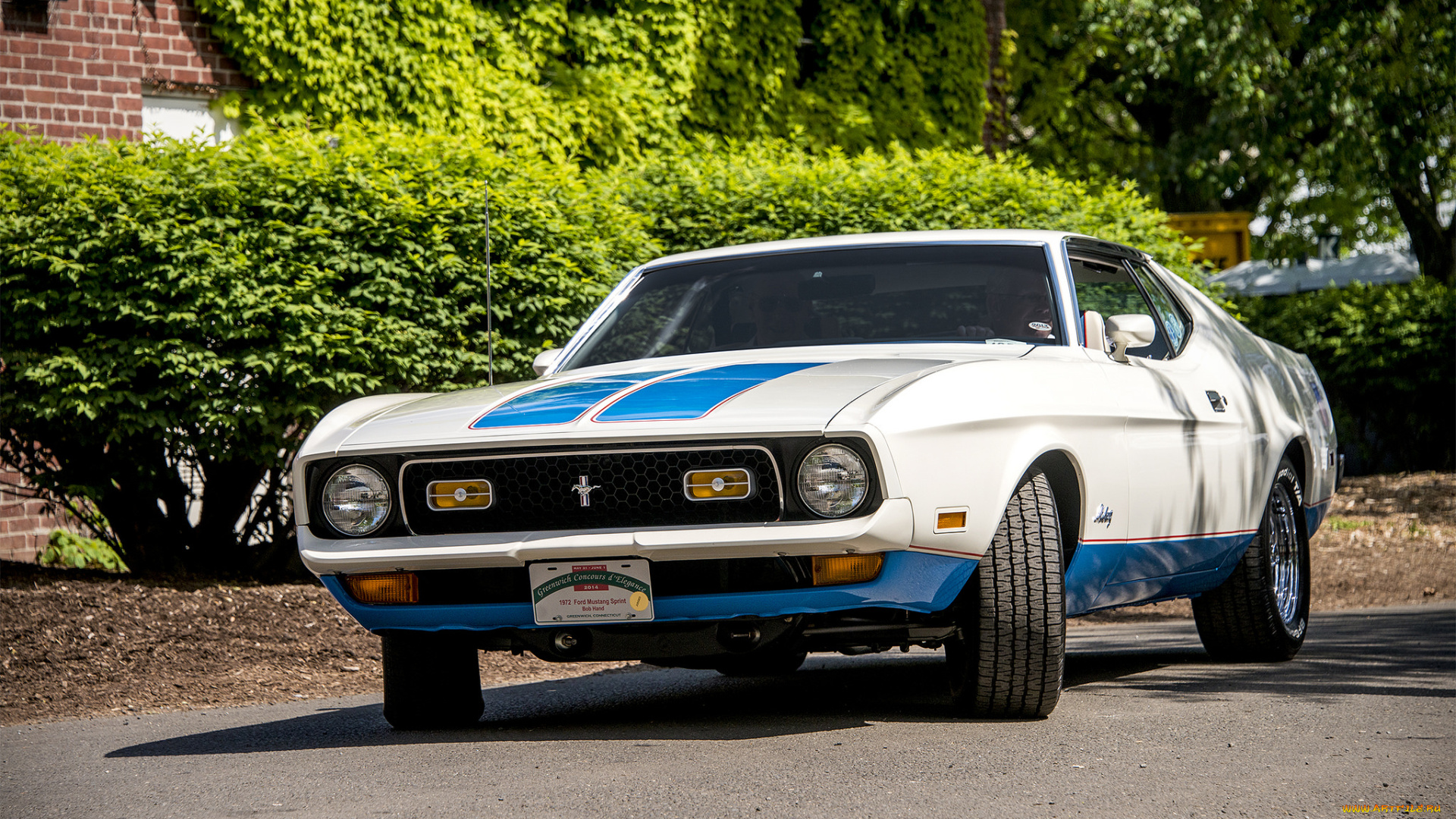 ford, mustang, olympic, sprint, edition, автомобили, mustang, автопробег, выставка, автошоу