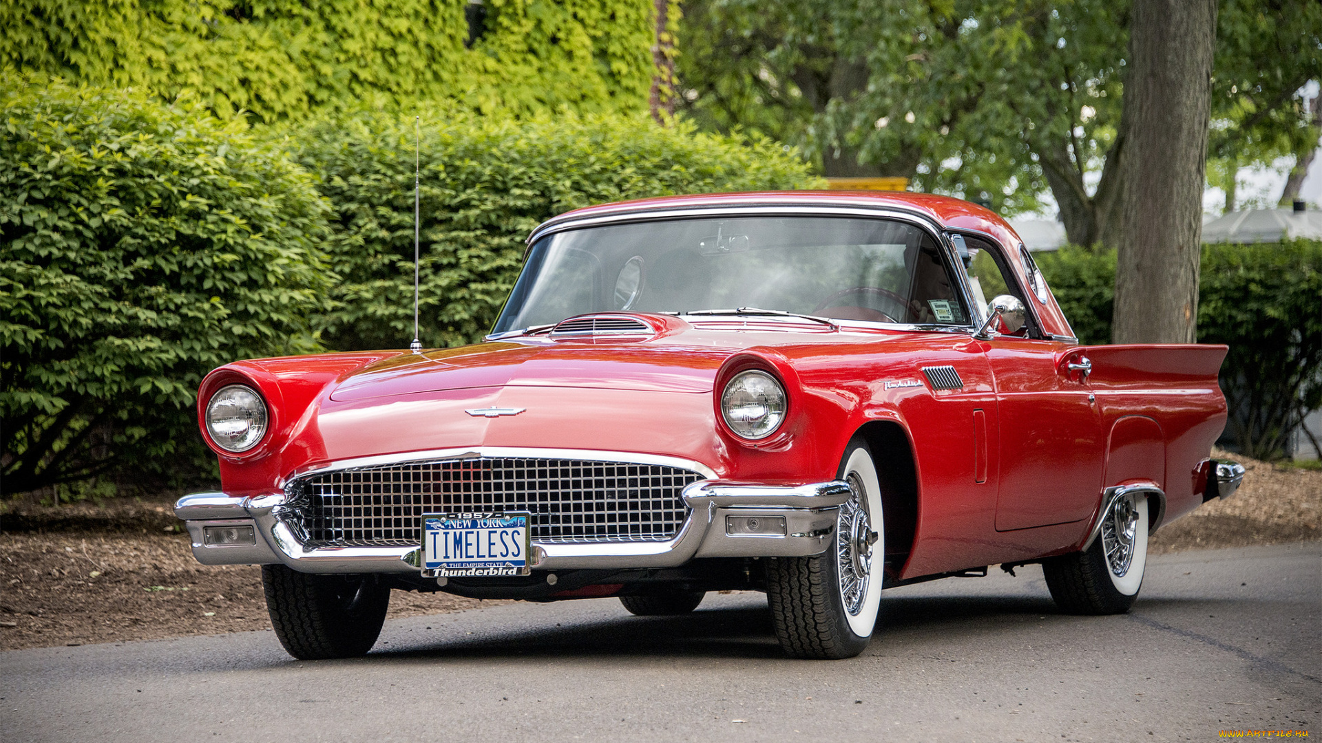 ford, thunderbird, автомобили, ford, автопробег, выставка, автошоу