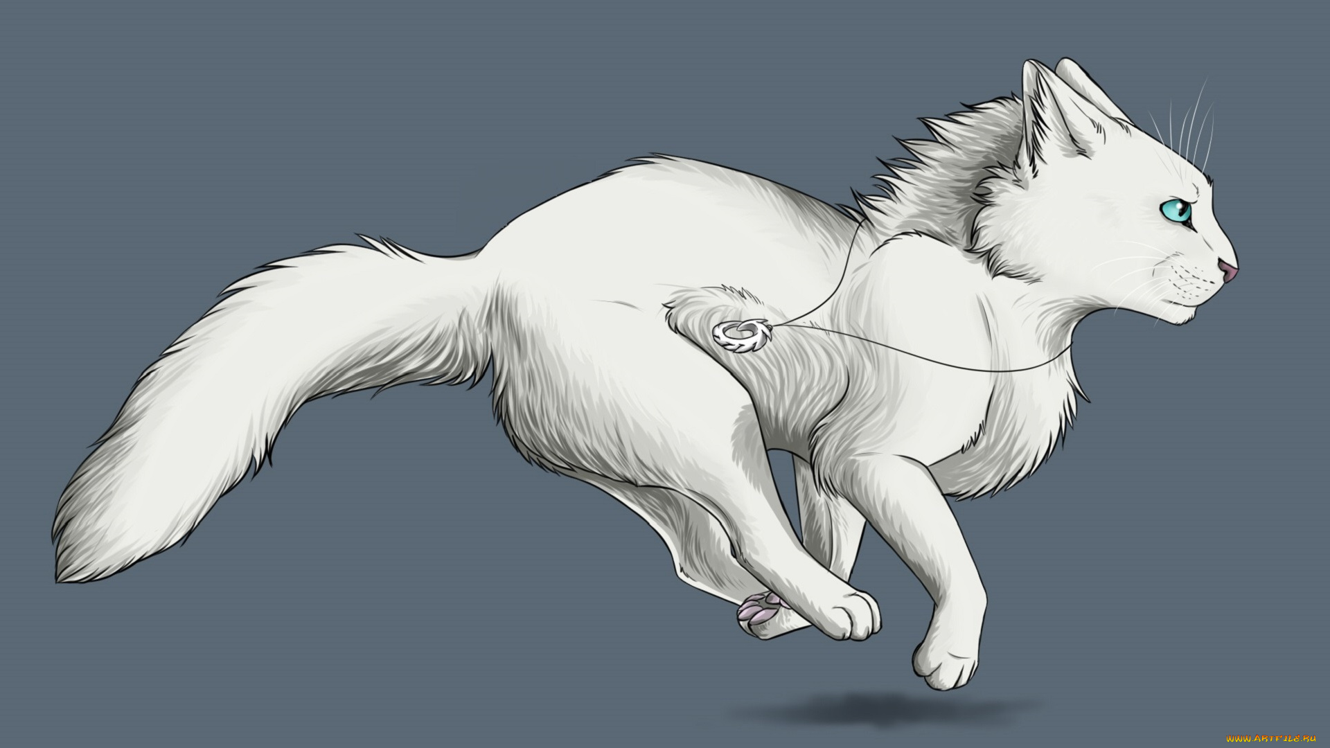 рисованные, животные, , коты, кот