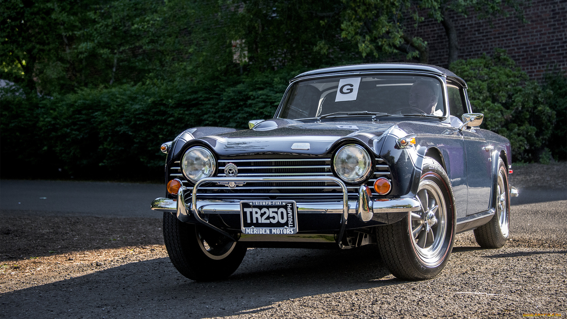 triumph, tr250, автомобили, triumph, автопробег, выставка, автошоу