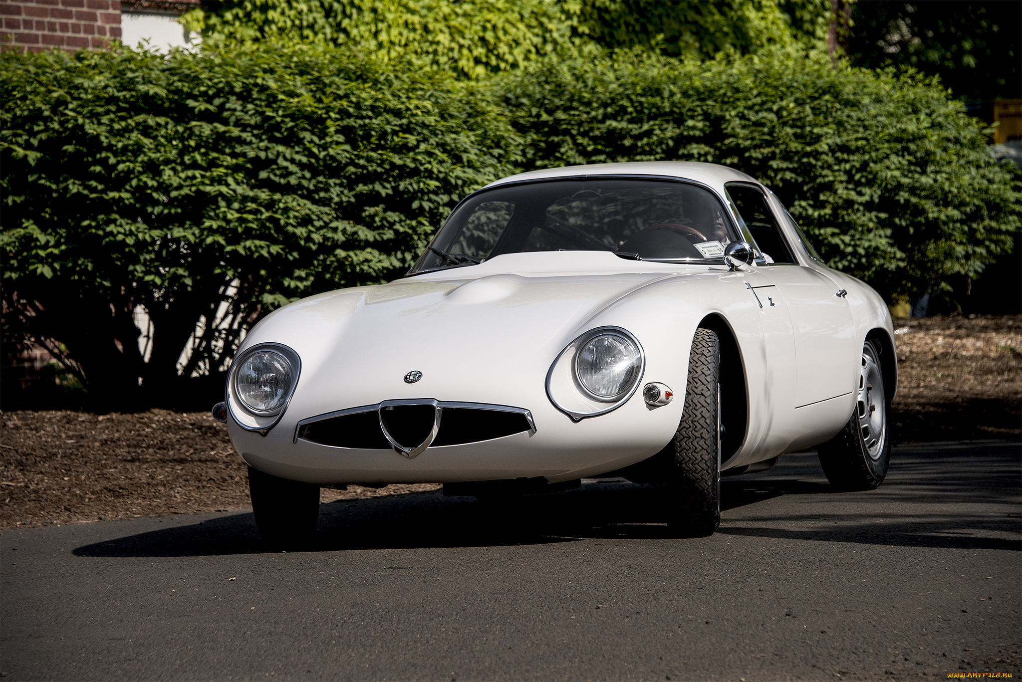 alfa, romeo, tz, coupe, автомобили, alfa, romeo, автопробег, выставка, автошоу