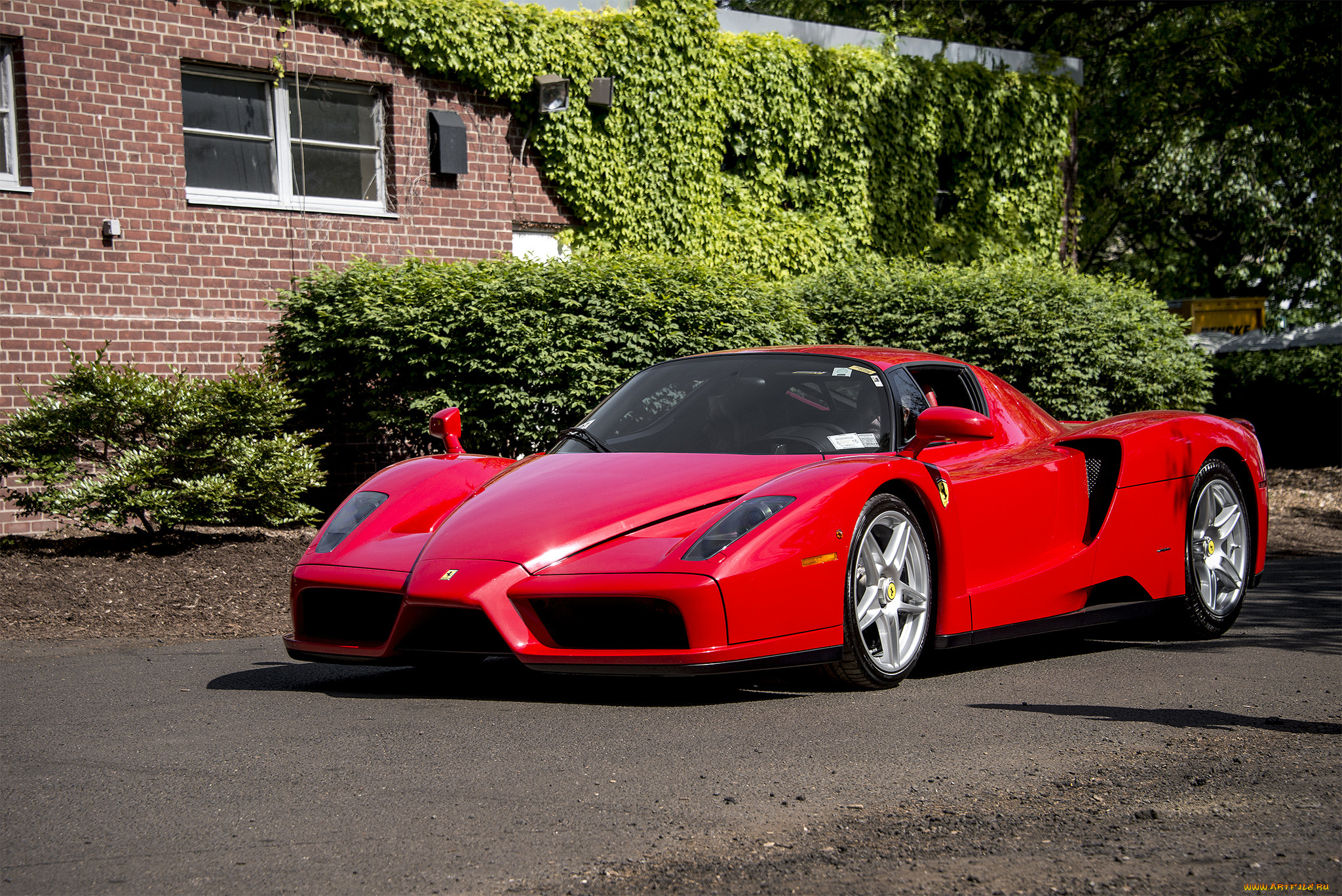 ferrari, enzo, автомобили, ferrari, автошоу, автопробег, выставка