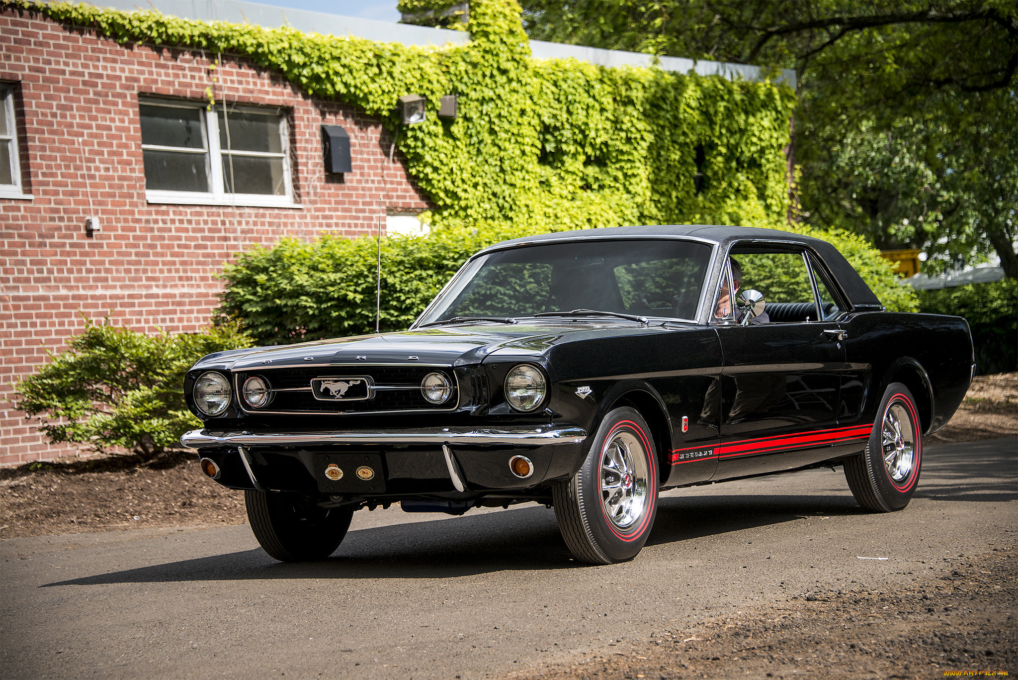 ford, mustang, автомобили, mustang, выставка, автошоу, автопробег