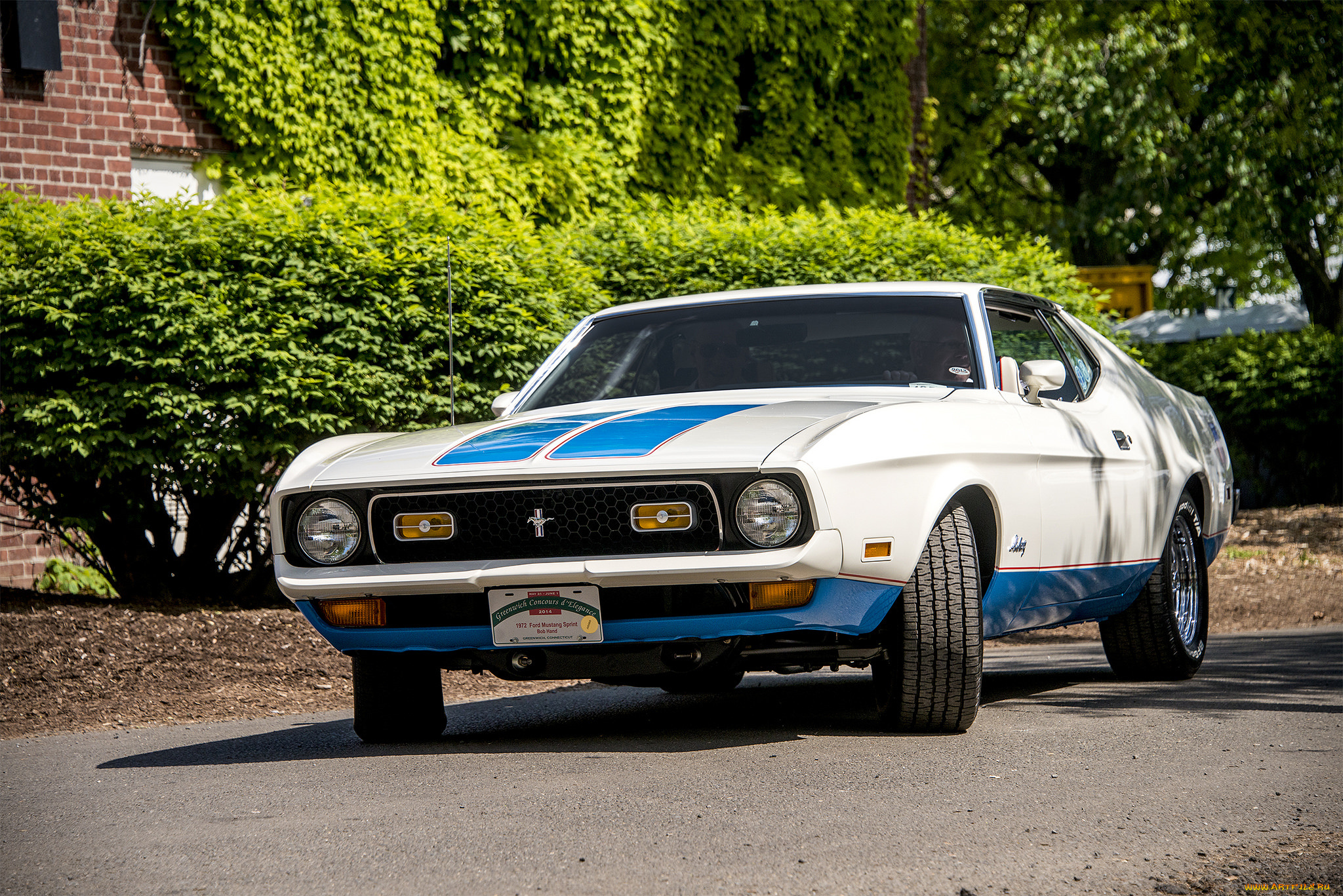 ford, mustang, olympic, sprint, edition, автомобили, mustang, автопробег, выставка, автошоу