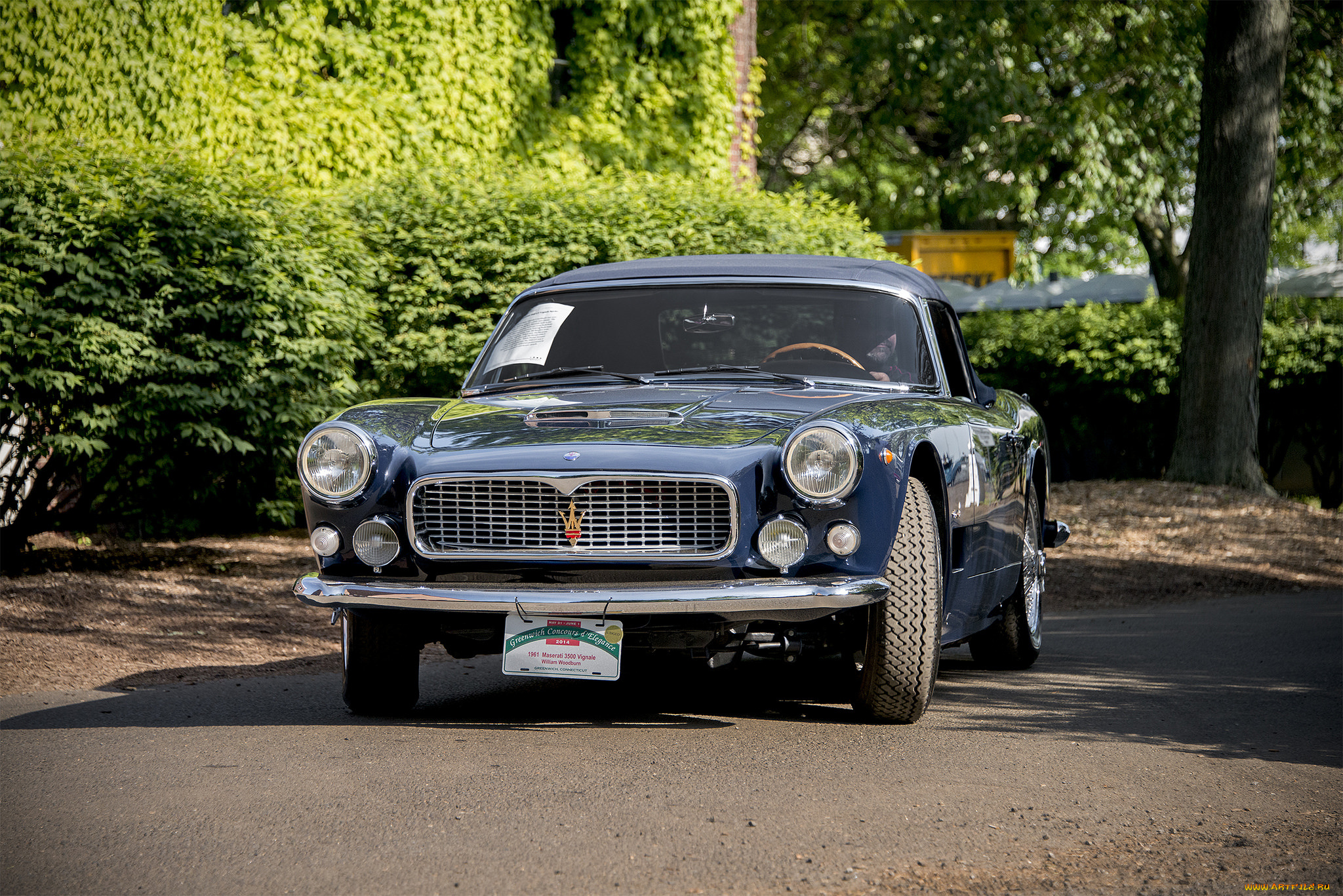 maserati, 2500, vignale, автомобили, выставки, и, уличные, фото, выставка, автопробег, автошоу