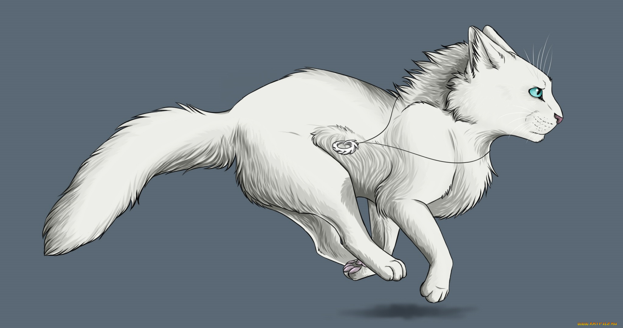 рисованные, животные, , коты, кот