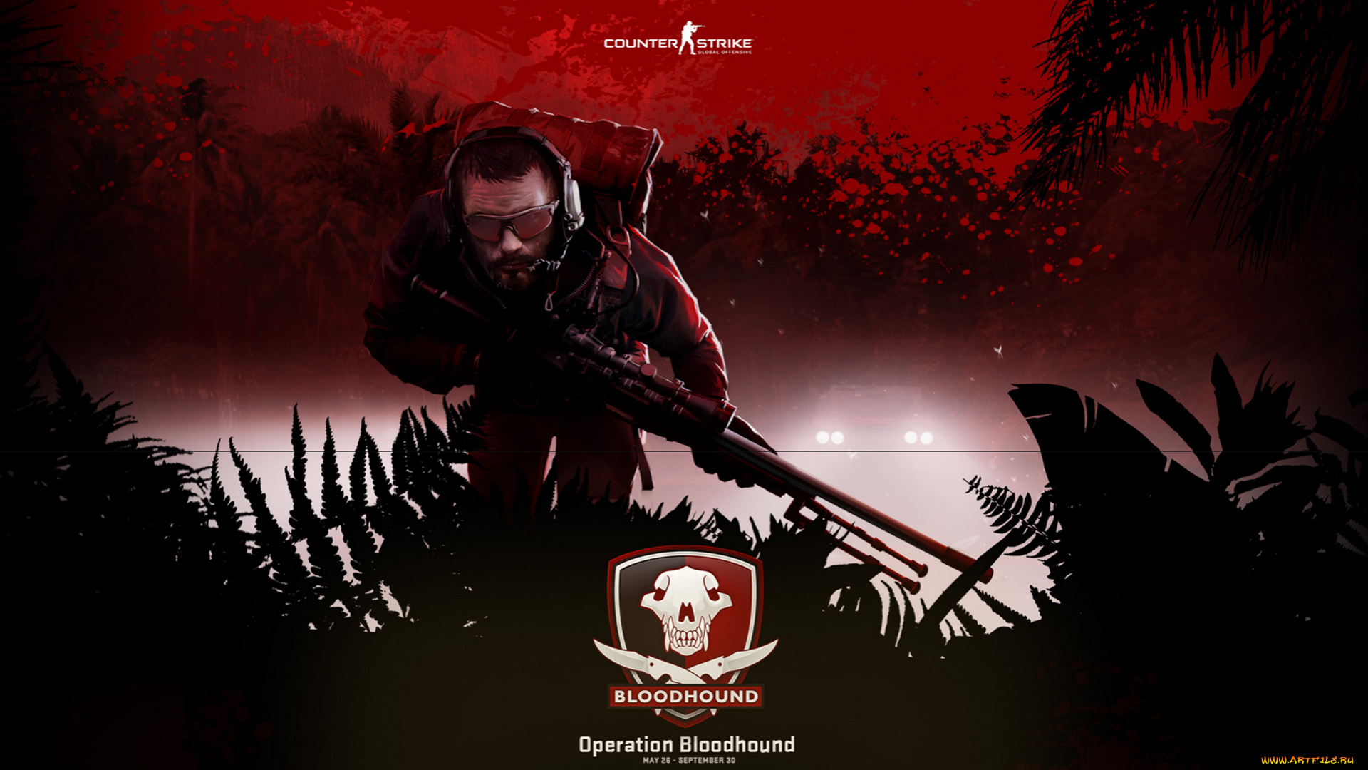 counter-strike, global, offensive, видео, игры, counter-strike, , global, offensive, bloodhonud, cs, go