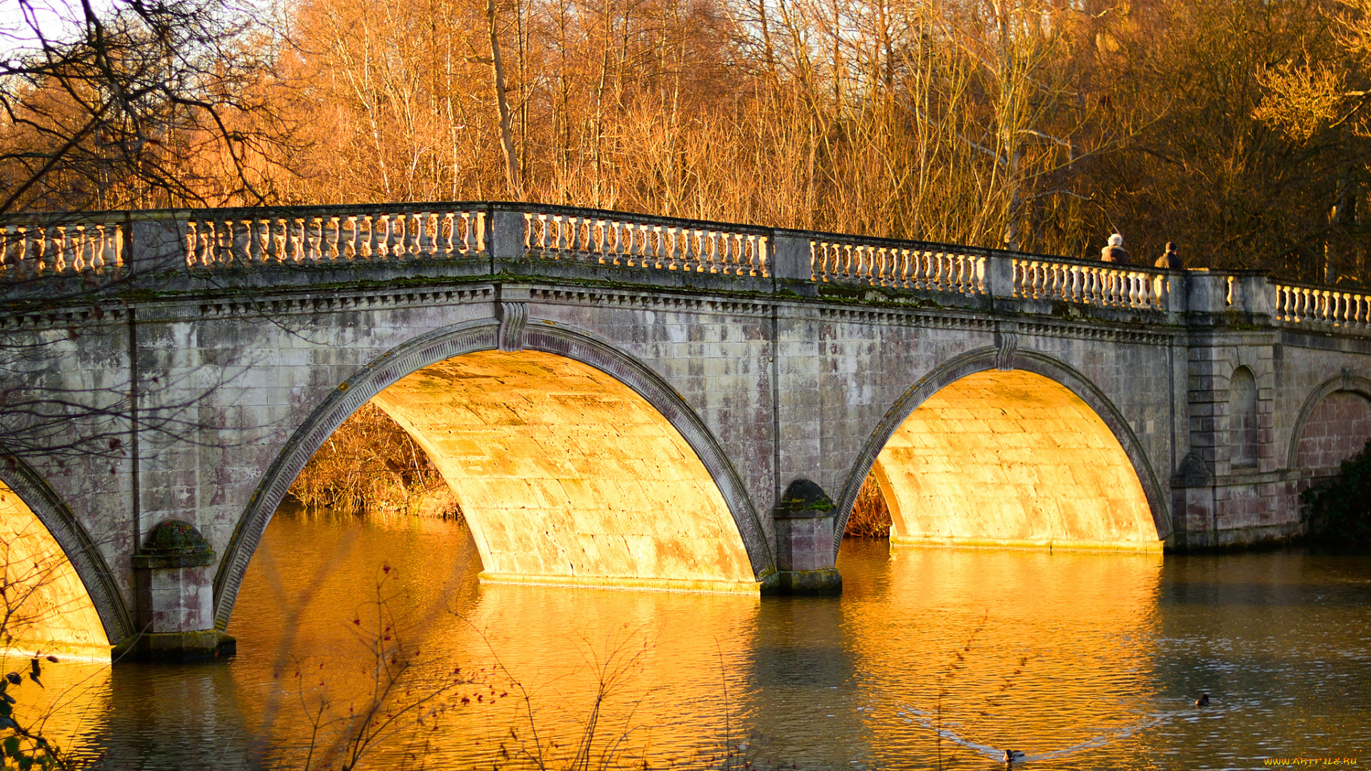 города, -, мосты, деревья, река, мост
