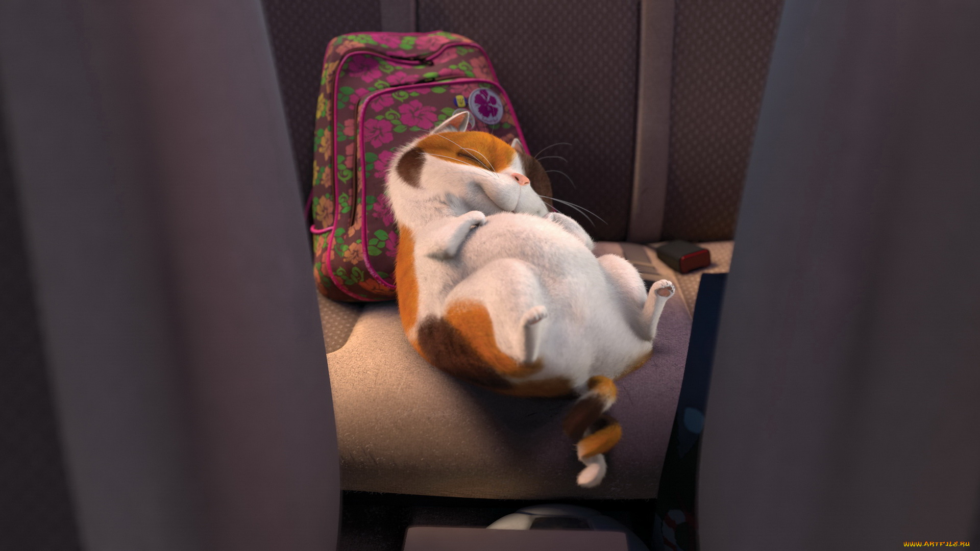 мультфильмы, home, кот