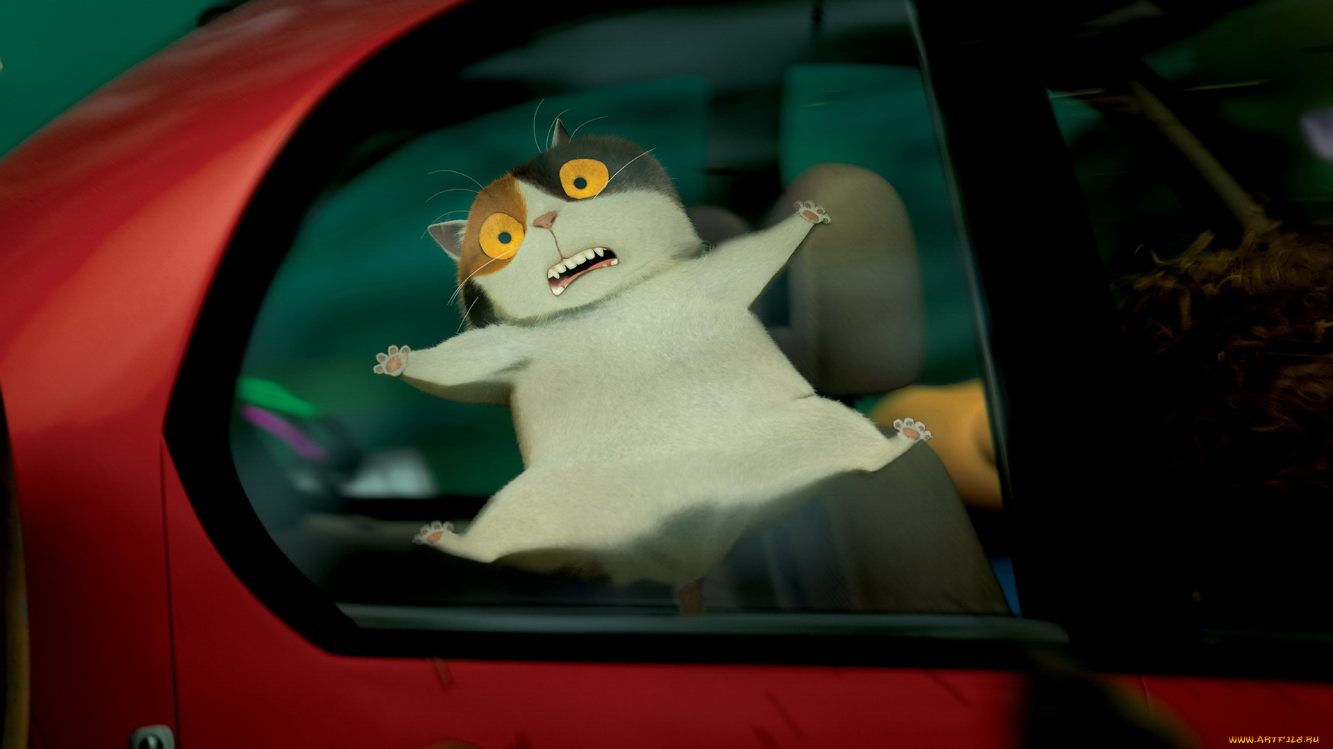 мультфильмы, home, кот