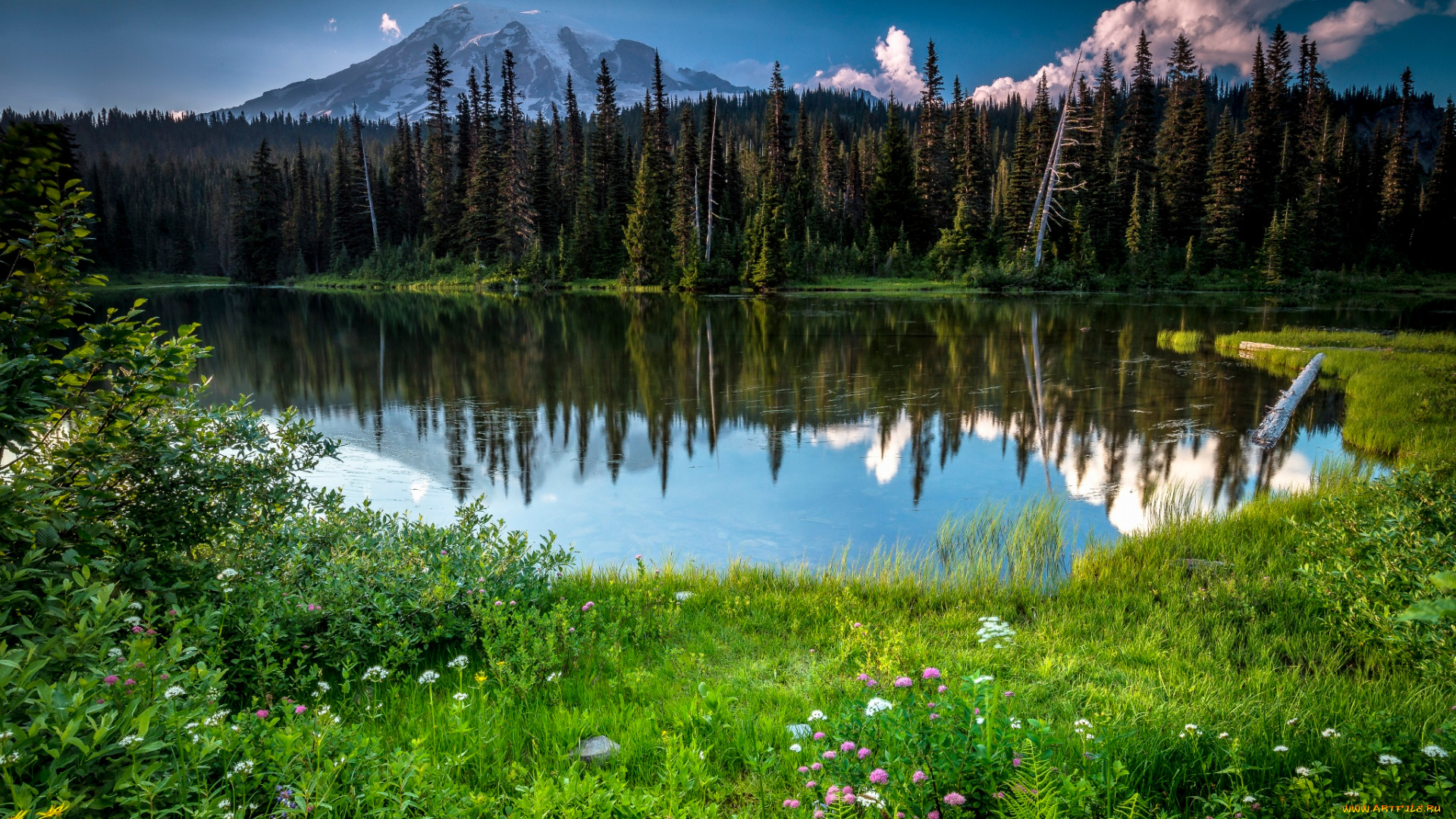 природа, реки, озера, цветы, лес, озеро, лето, рейнир, стратовулкан, гора, вашингтон, штат, сша