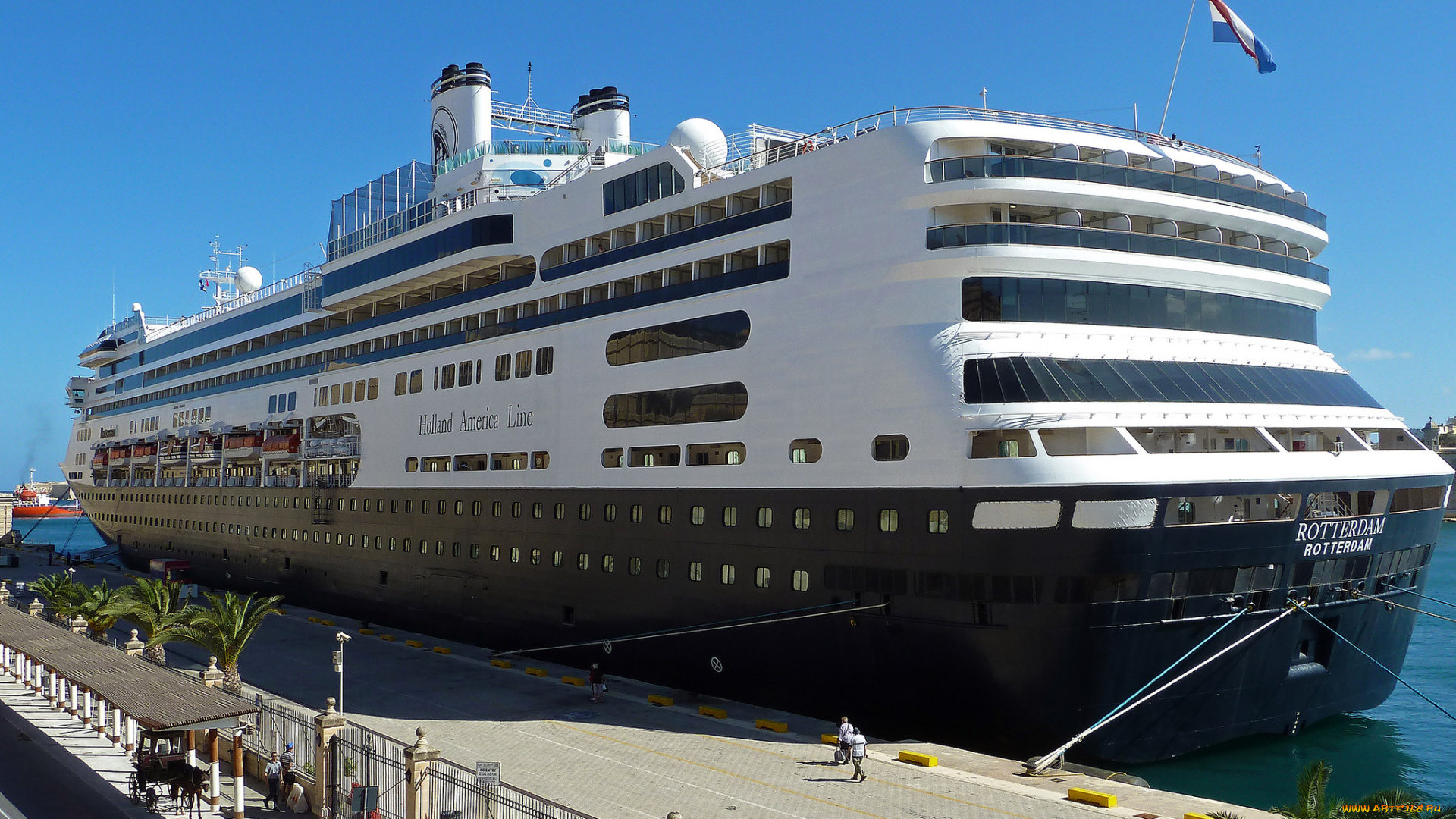 rotterdam, корабли, лайнеры, круизный, лайнер