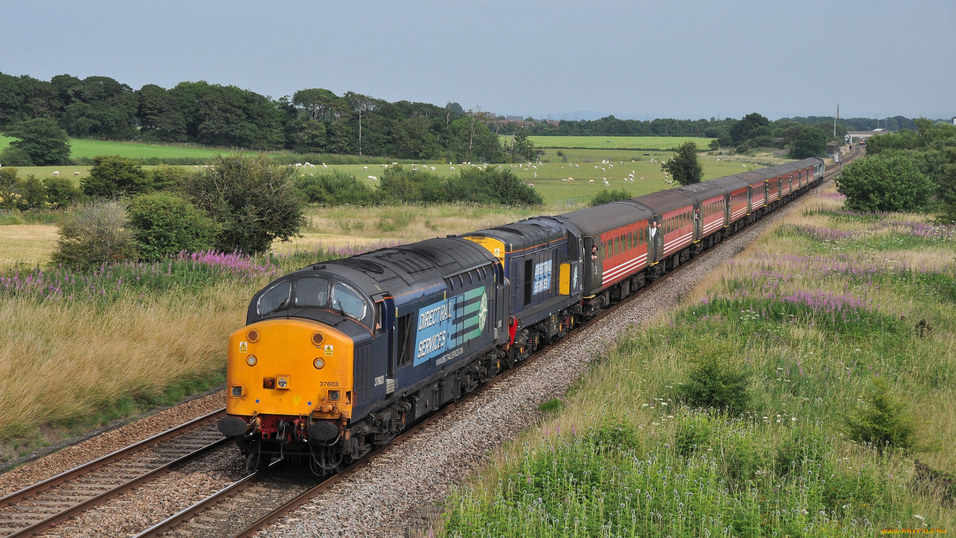 техника, поезда, состав, локомотив, рельсы, дорога, железная